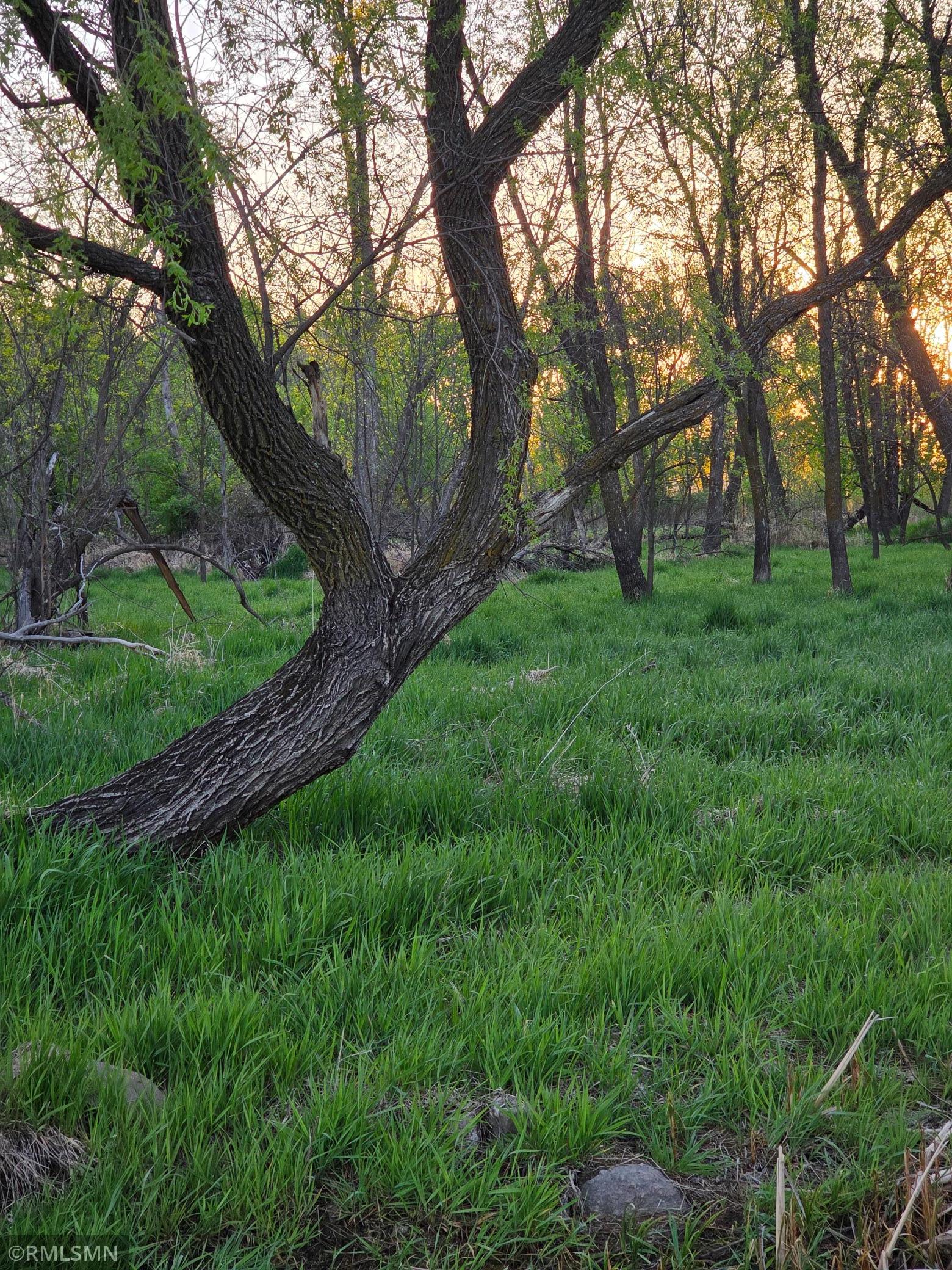 main property photo 56
