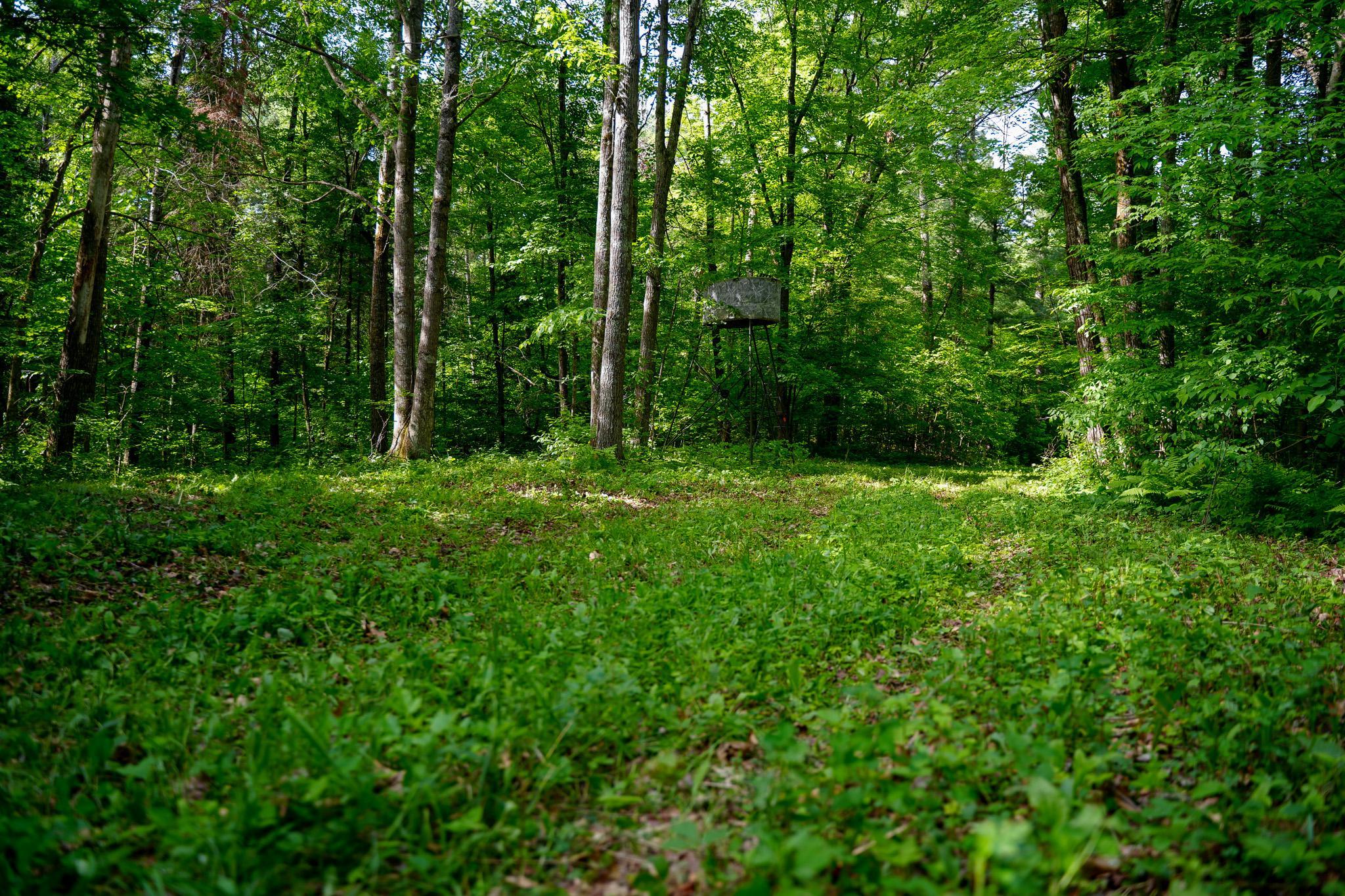main property photo 18
