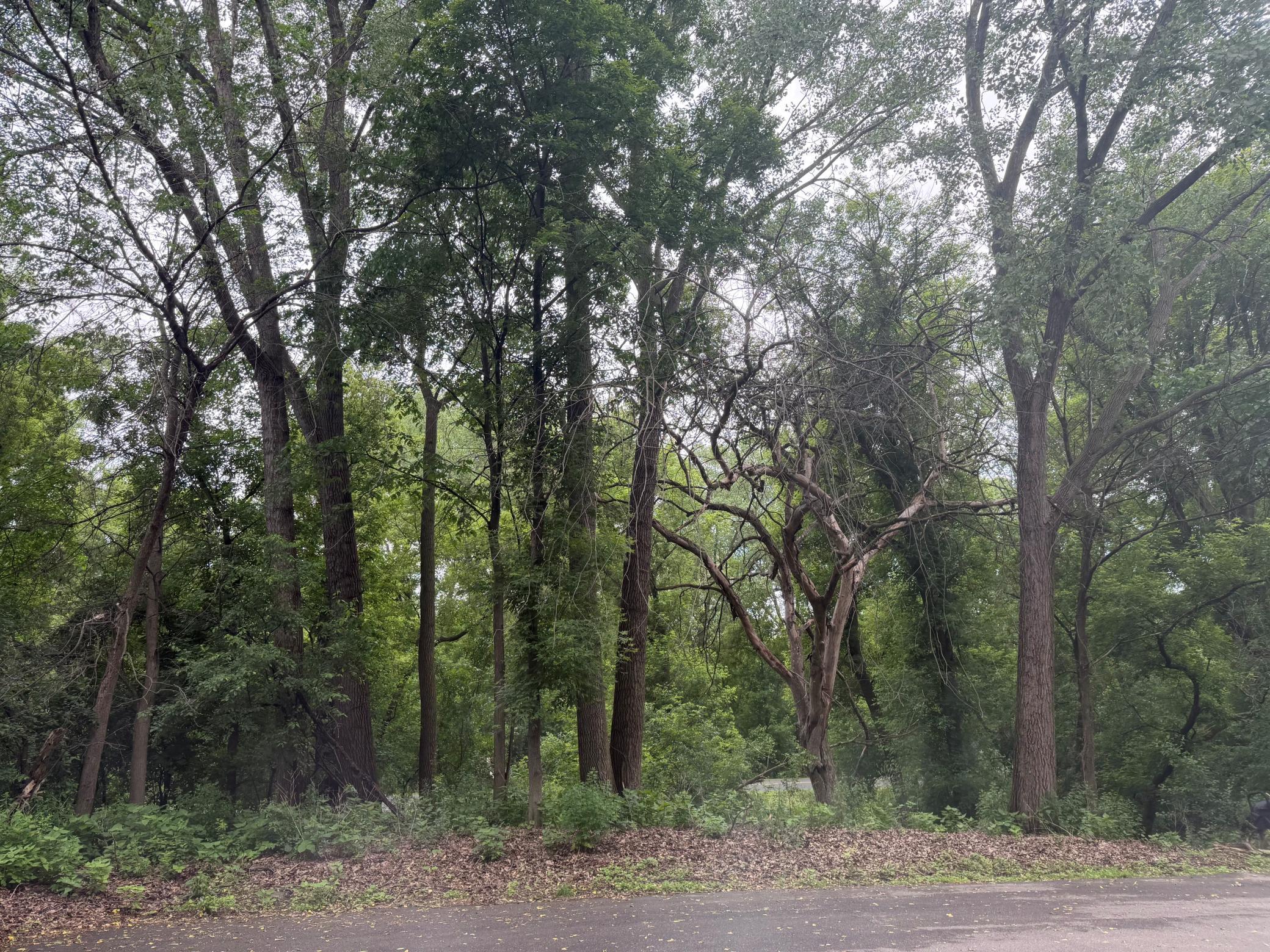 main property photo 20