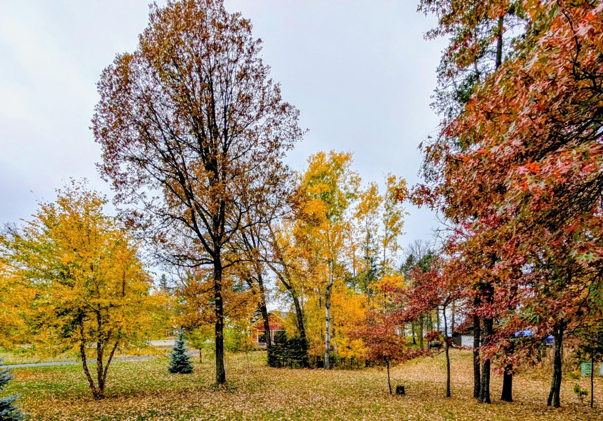 main property photo 91