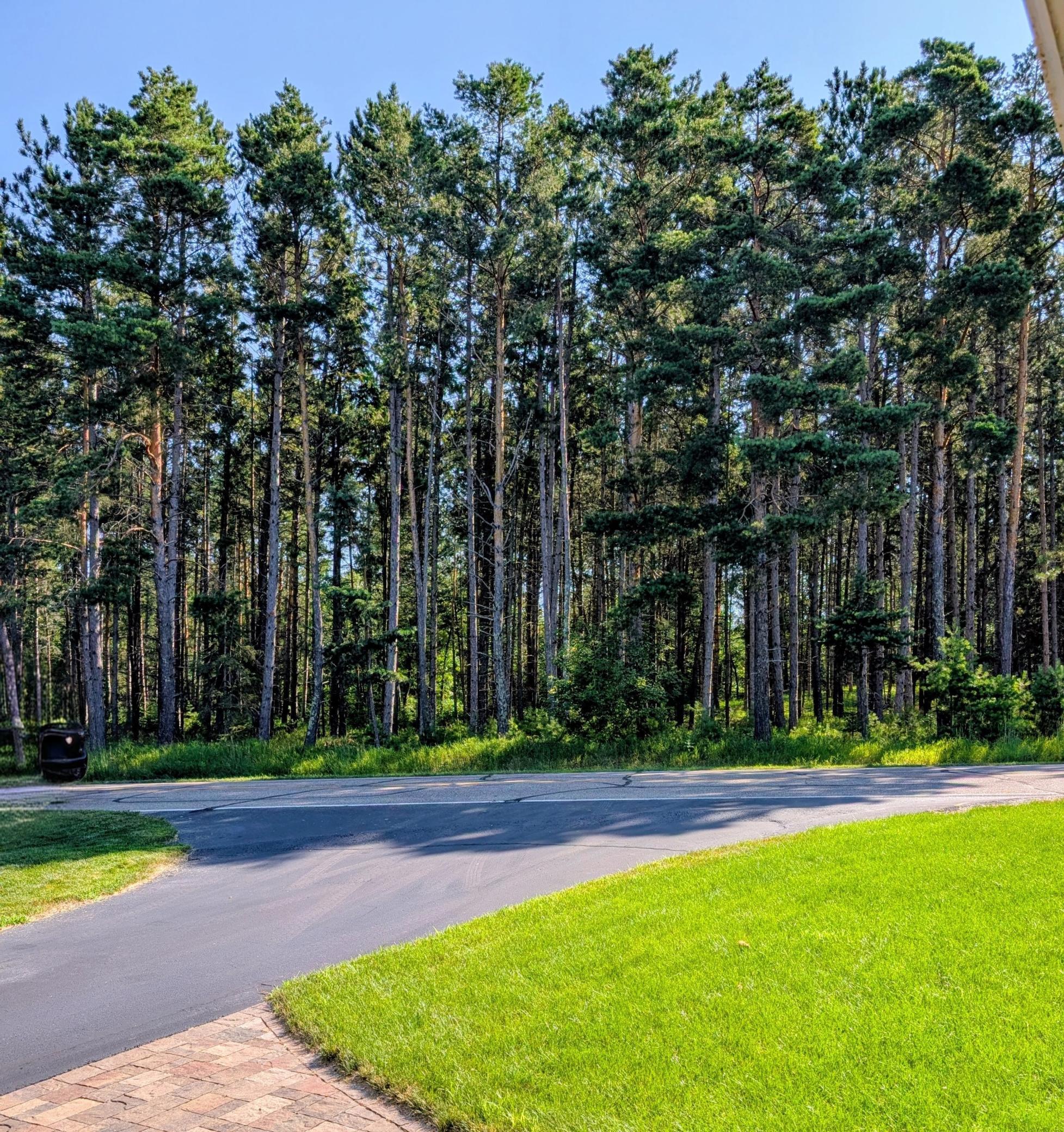 main property photo 96