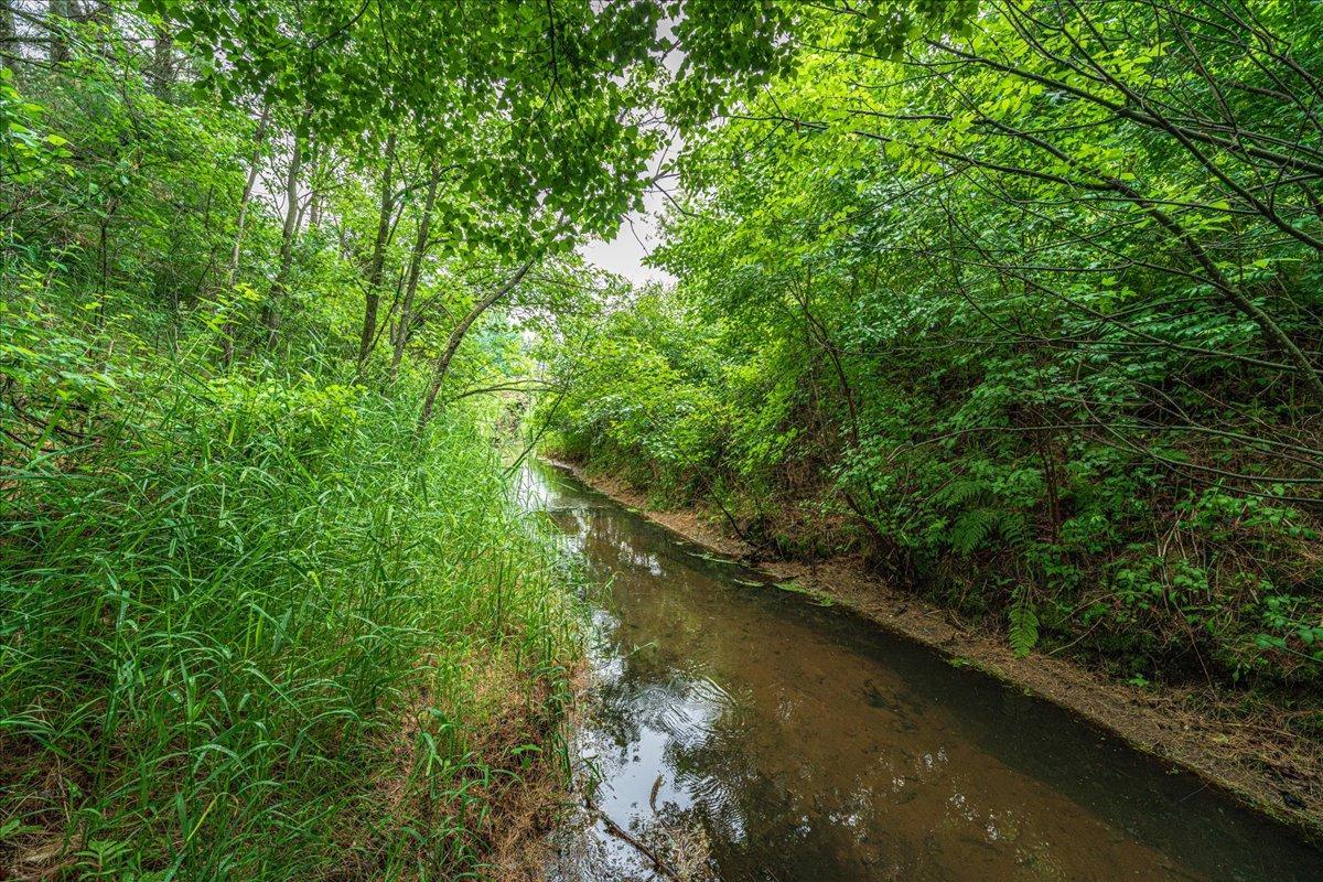 main property photo 79