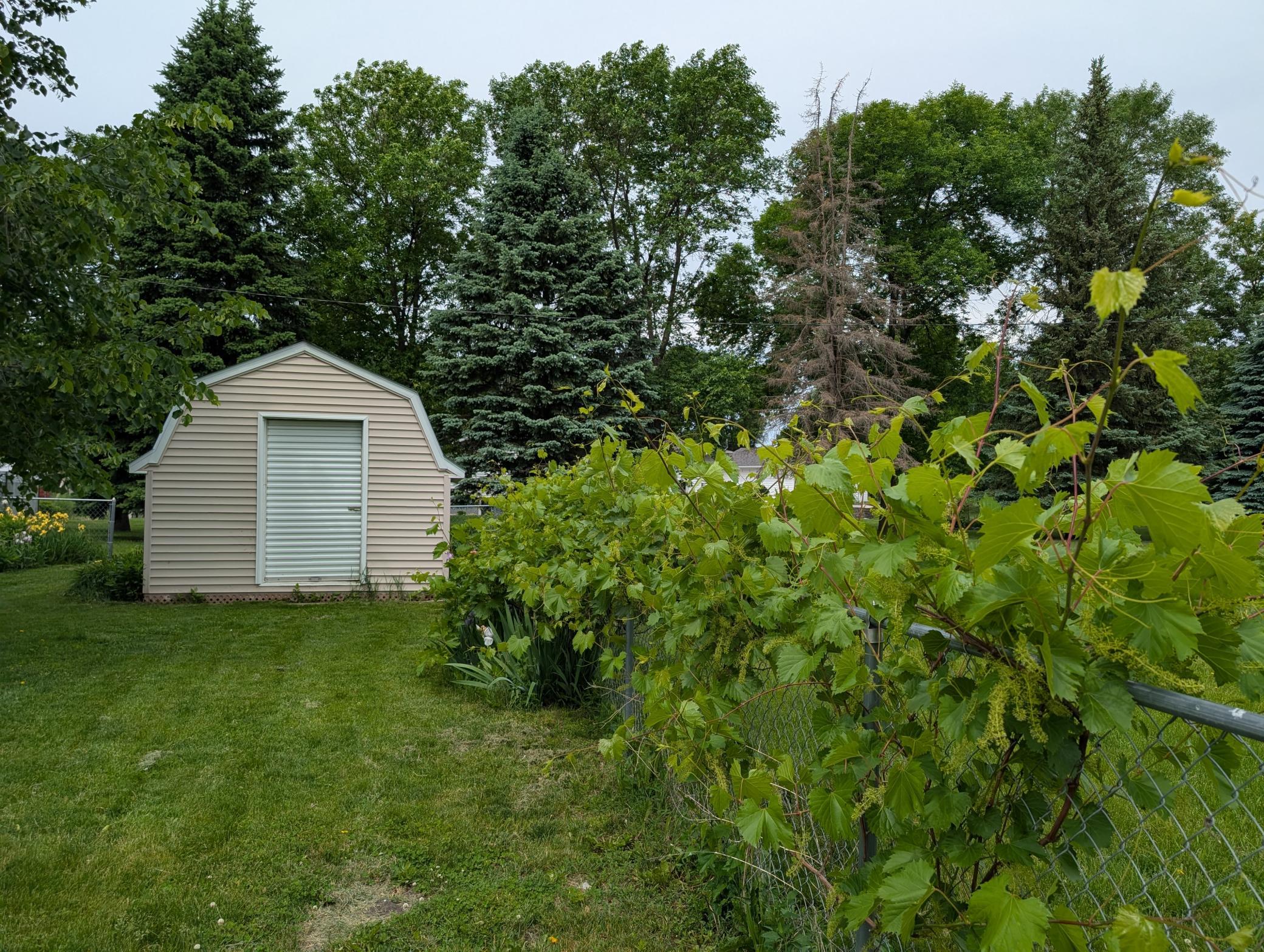 main property photo 22