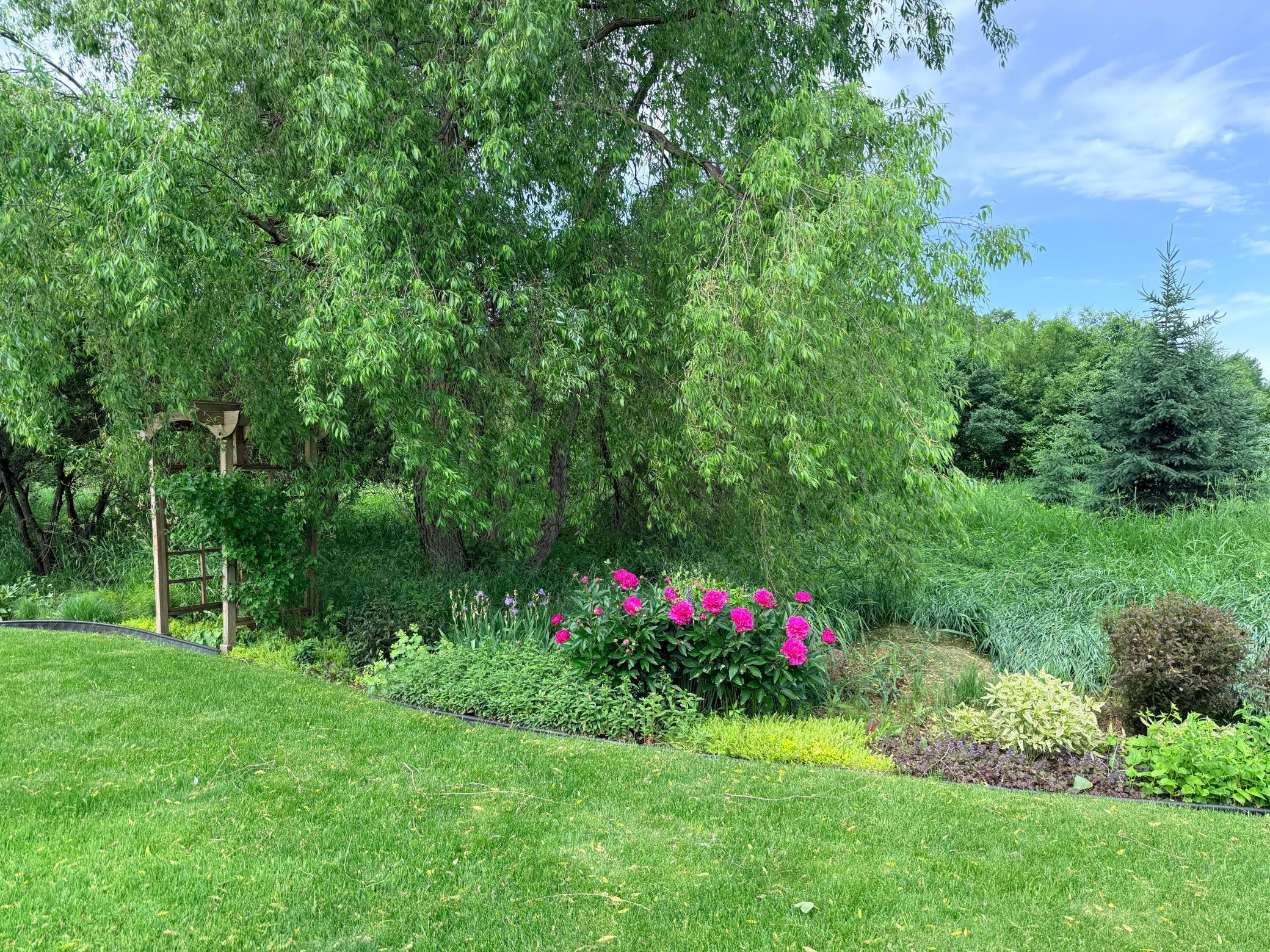 main property photo 69