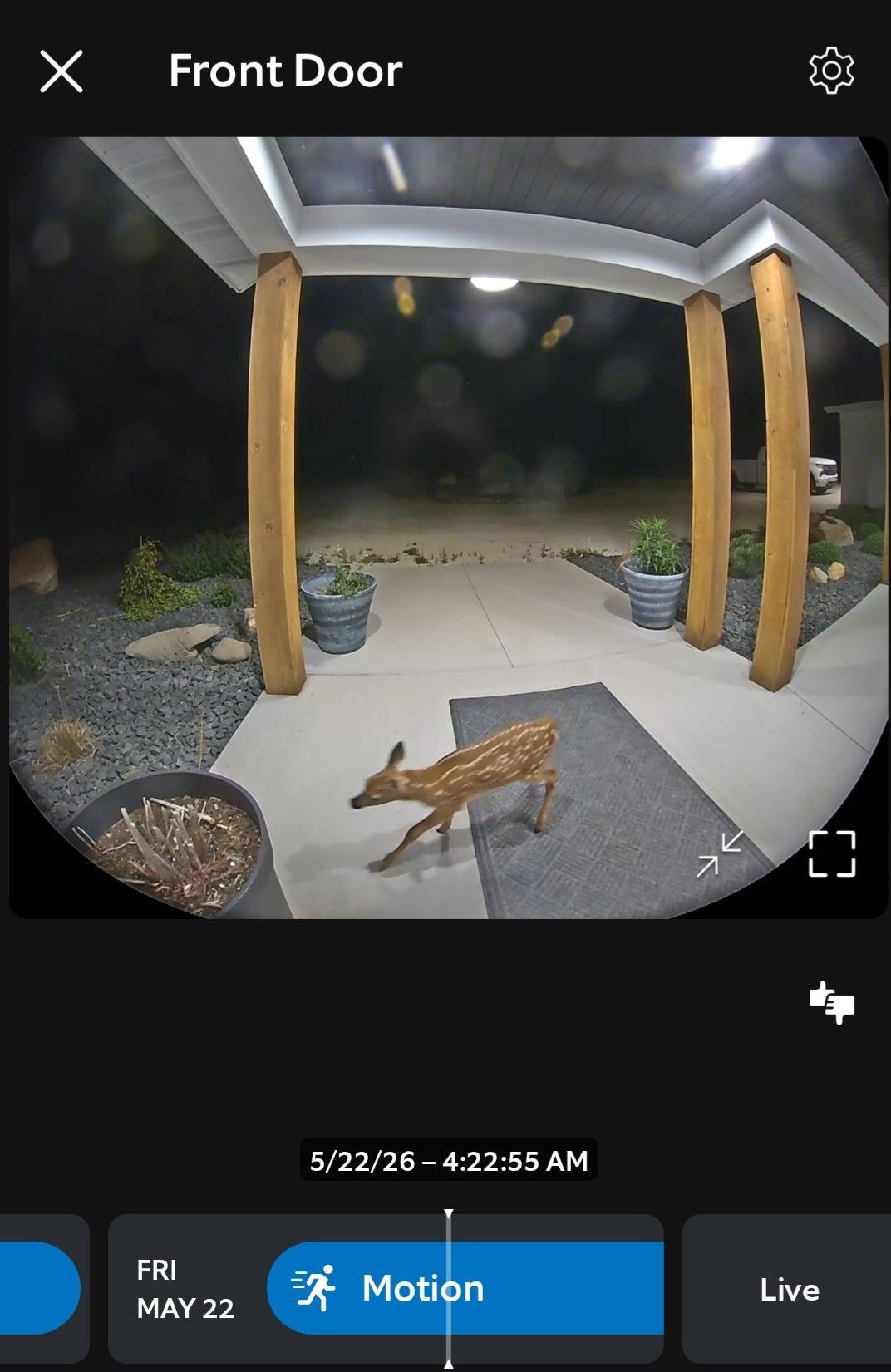 main property photo 49