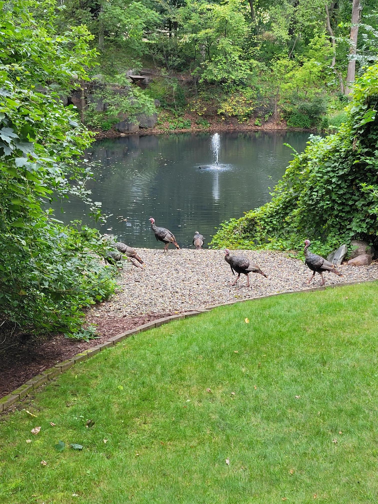 main property photo 54