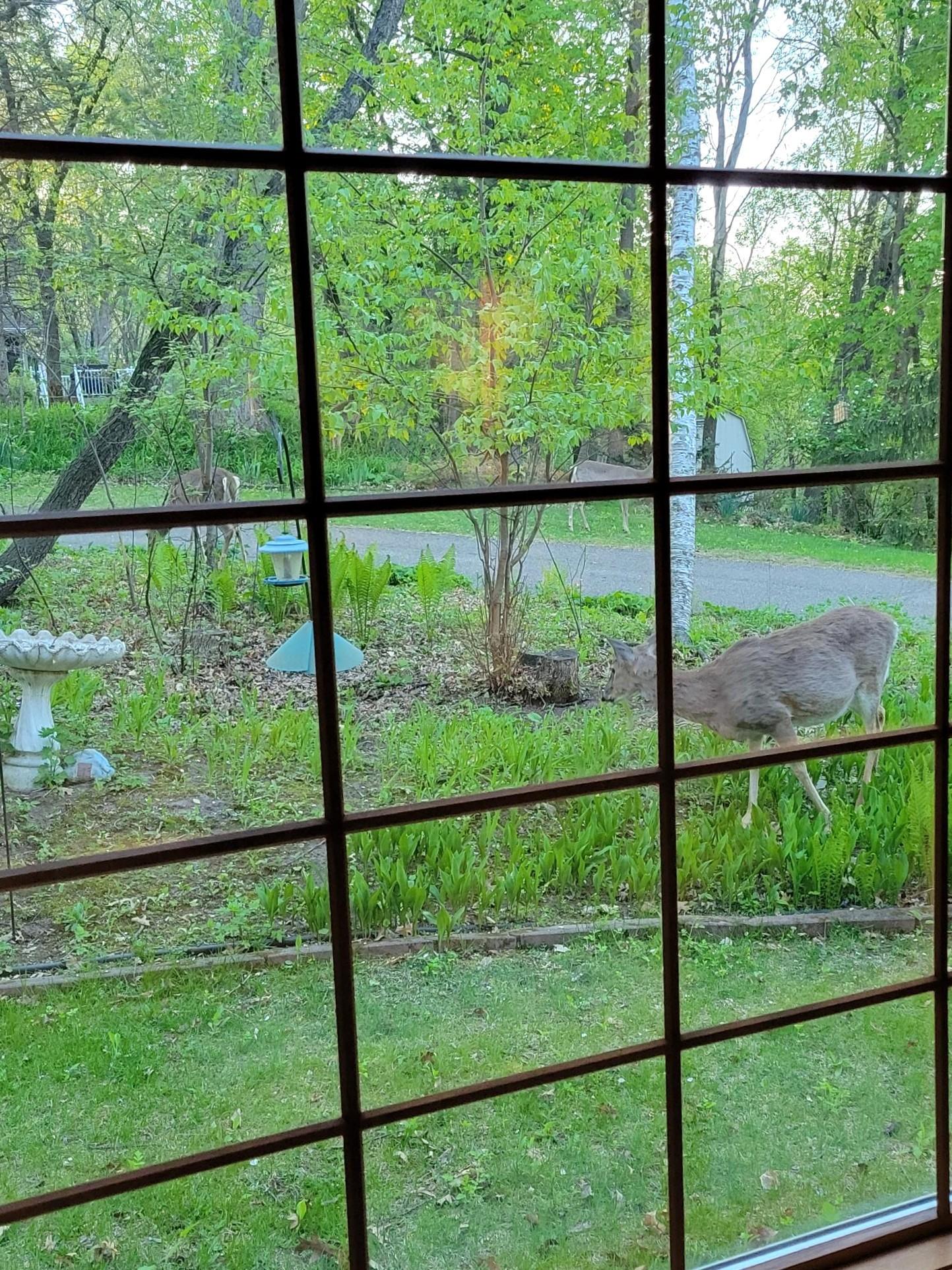 main property photo 66