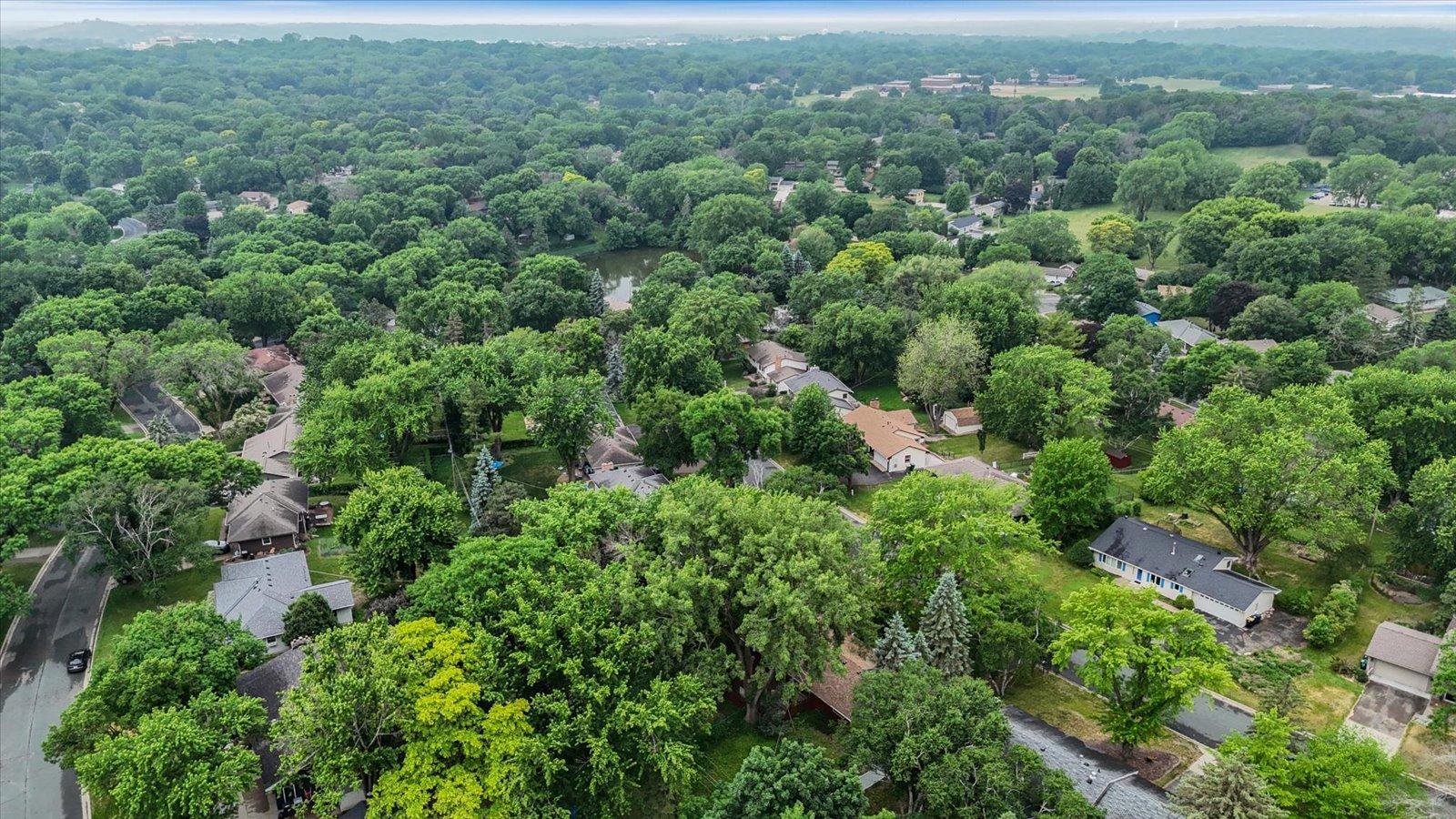 main property photo 54