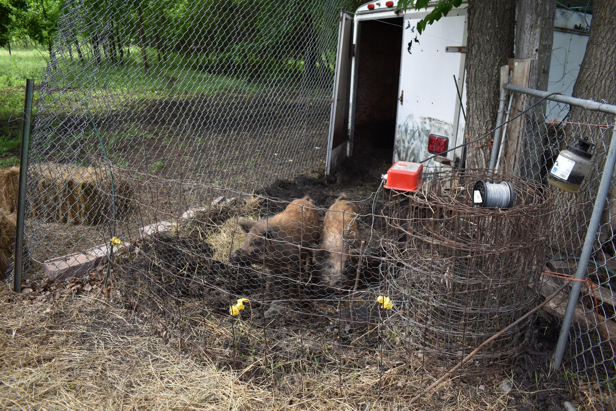 main property photo 15