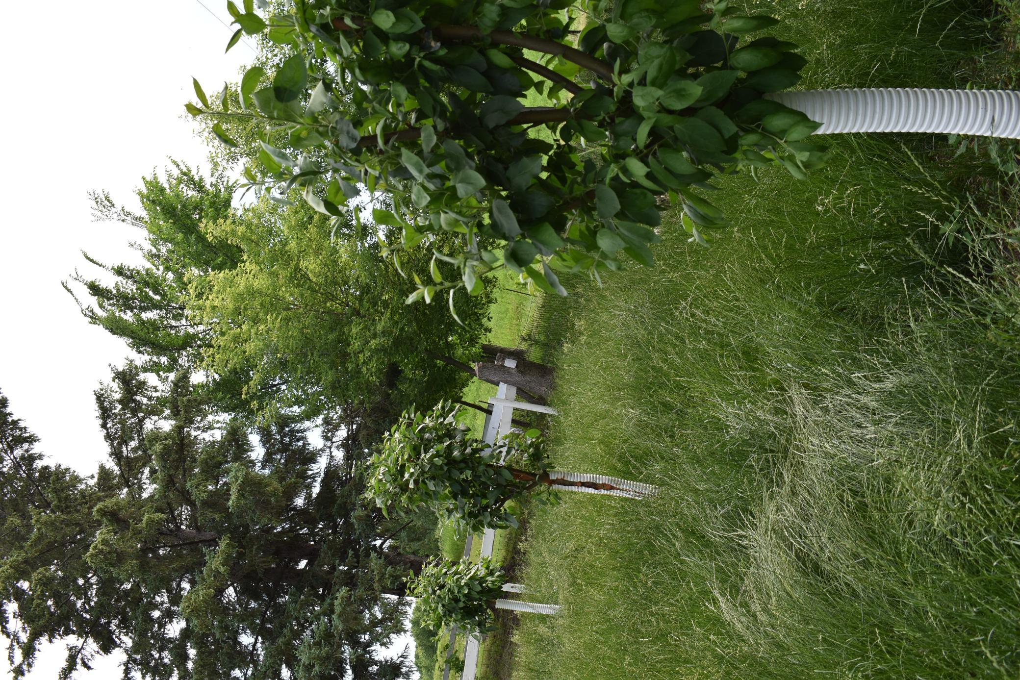 main property photo 17