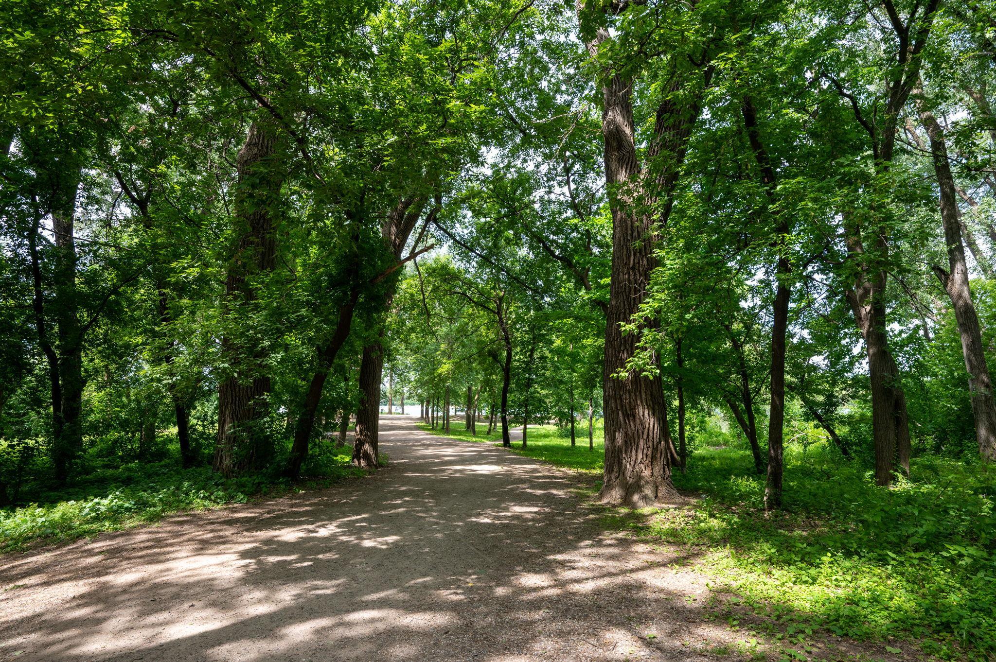 main property photo 49