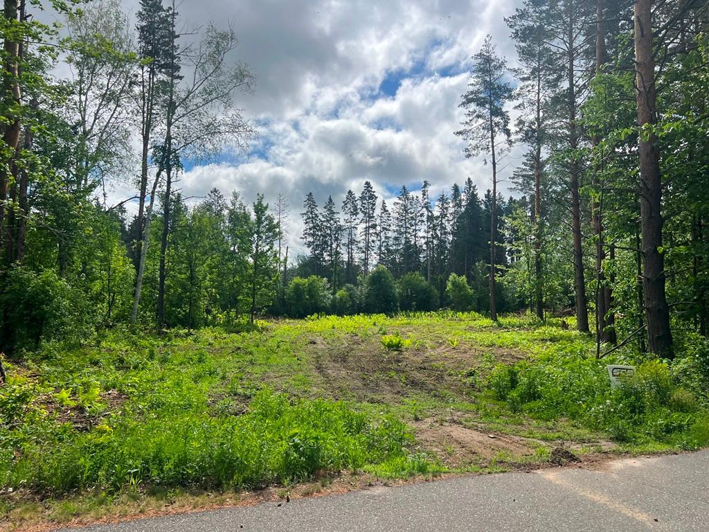 main property photo 8