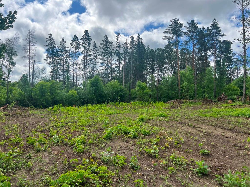 main property photo 9