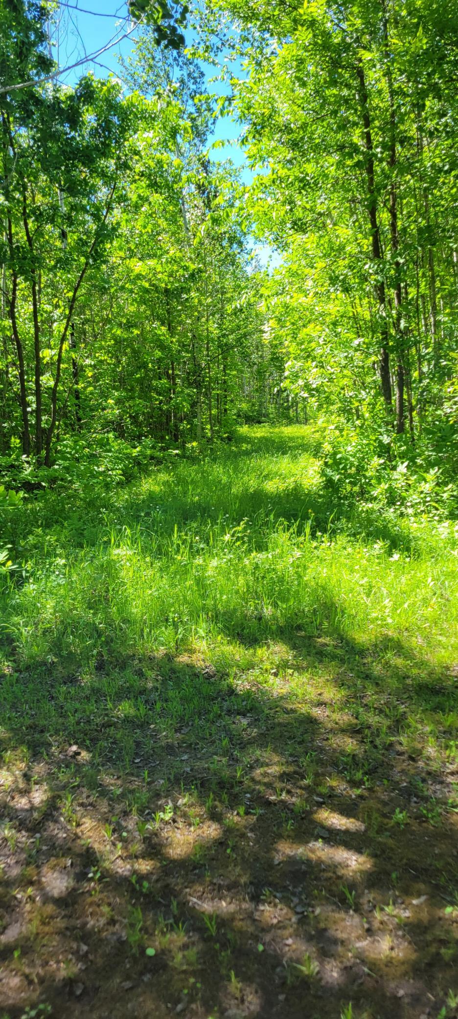 main property photo 28