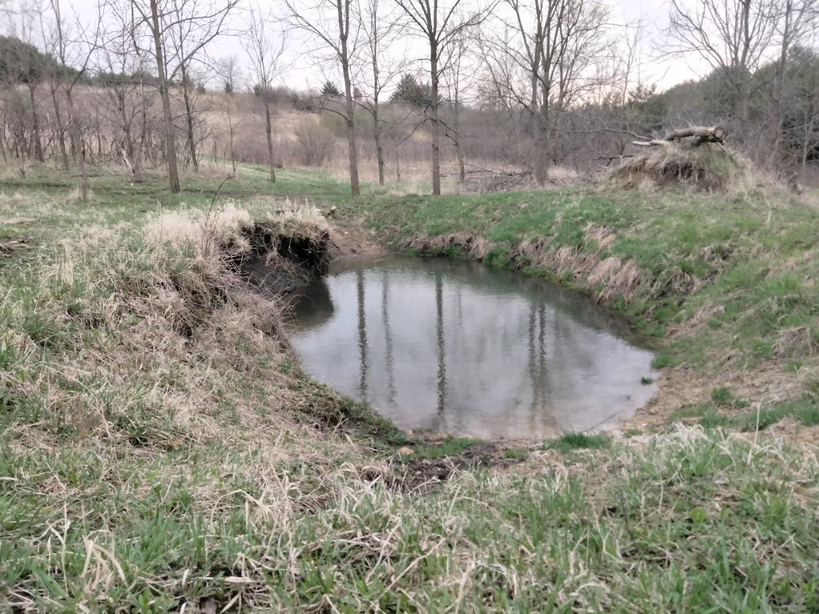 main property photo 6