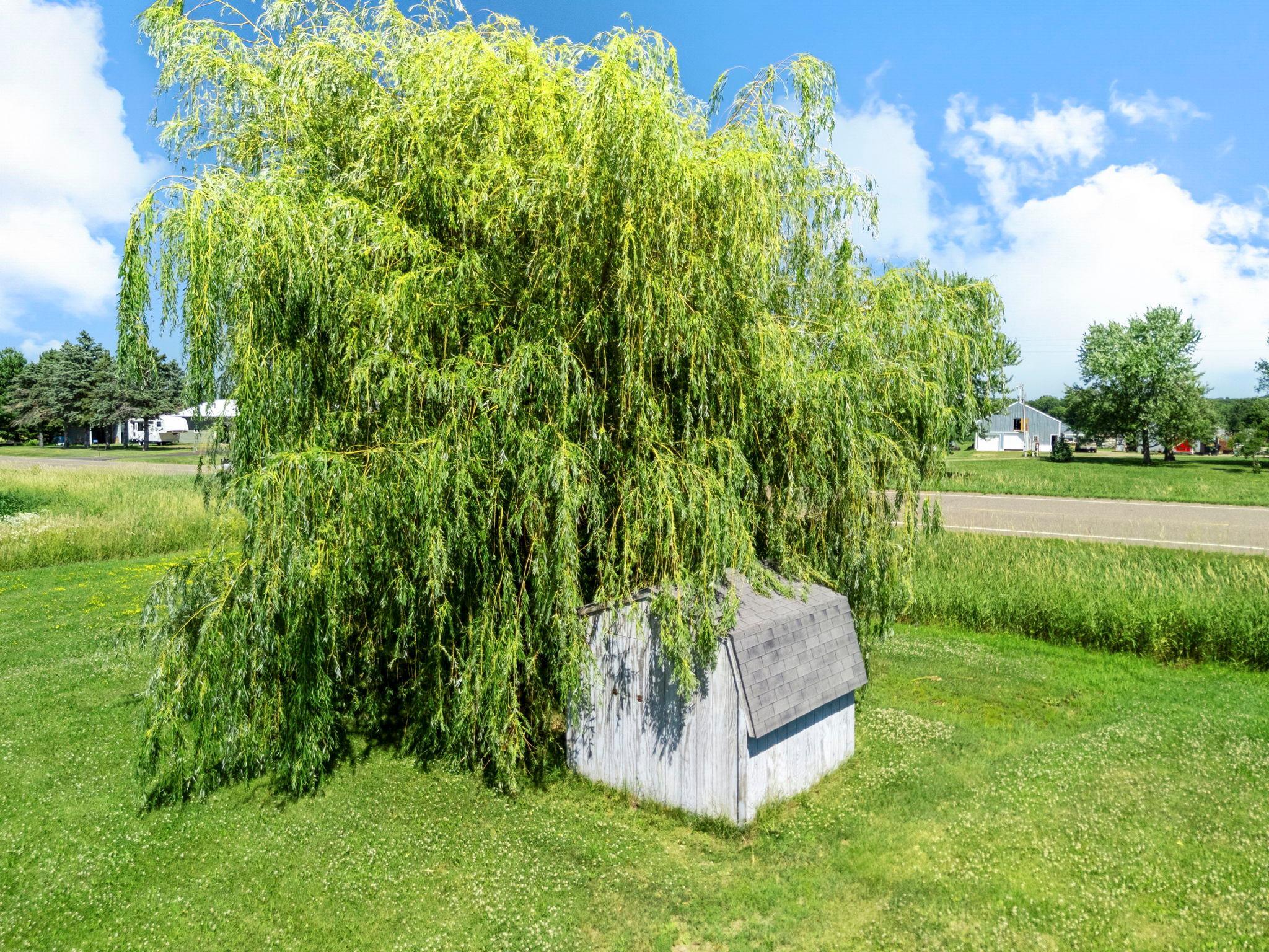 main property photo 72