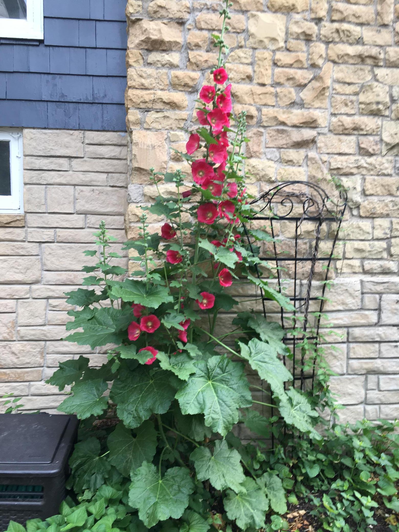 main property photo 50