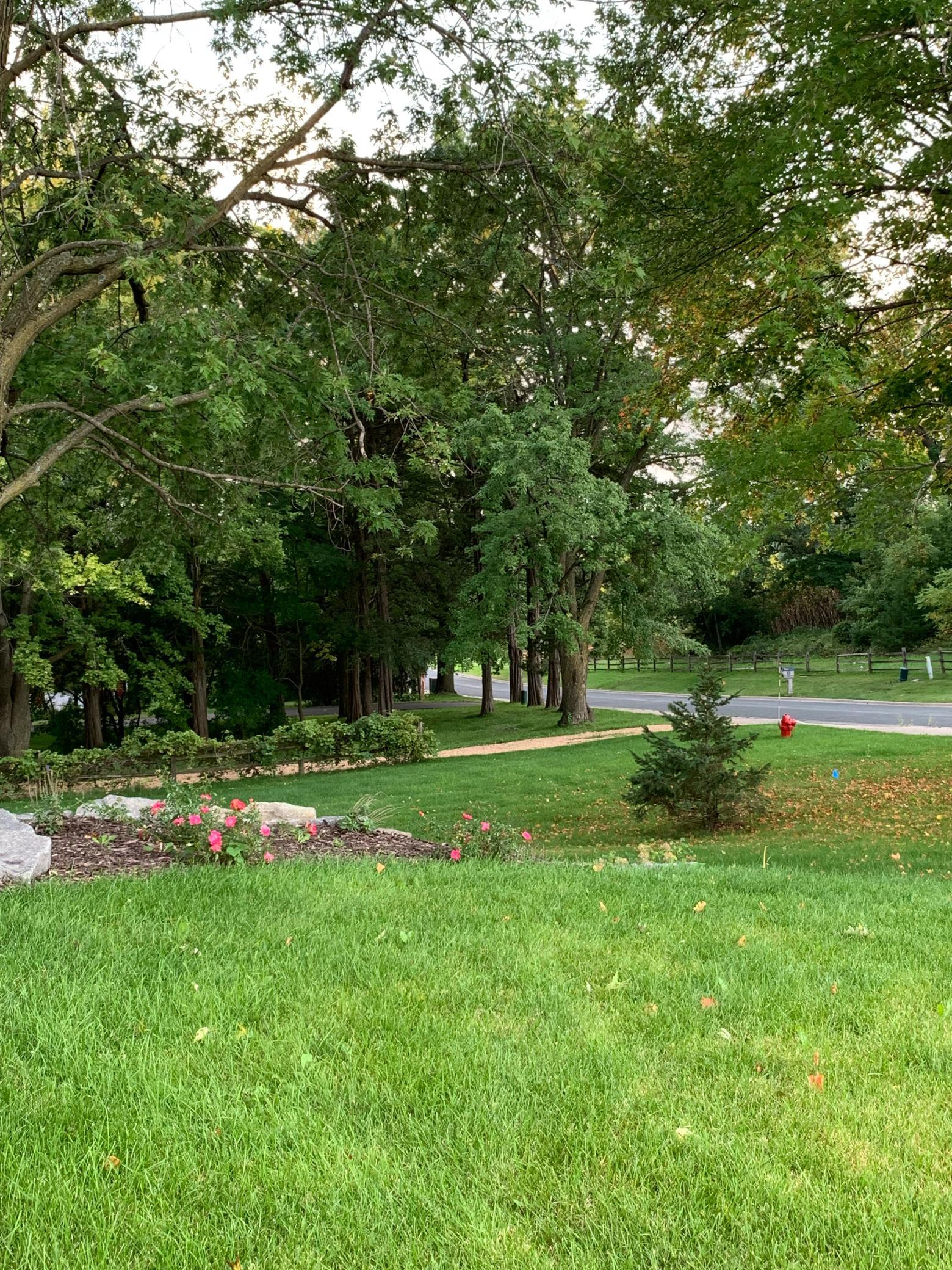 main property photo 20
