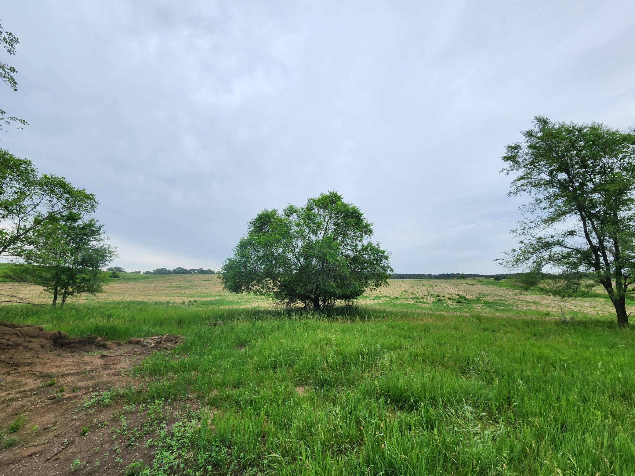 main property photo 16