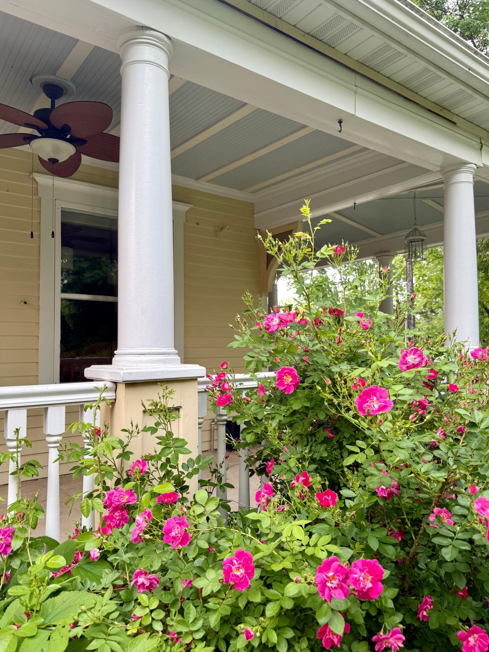 main property photo 55