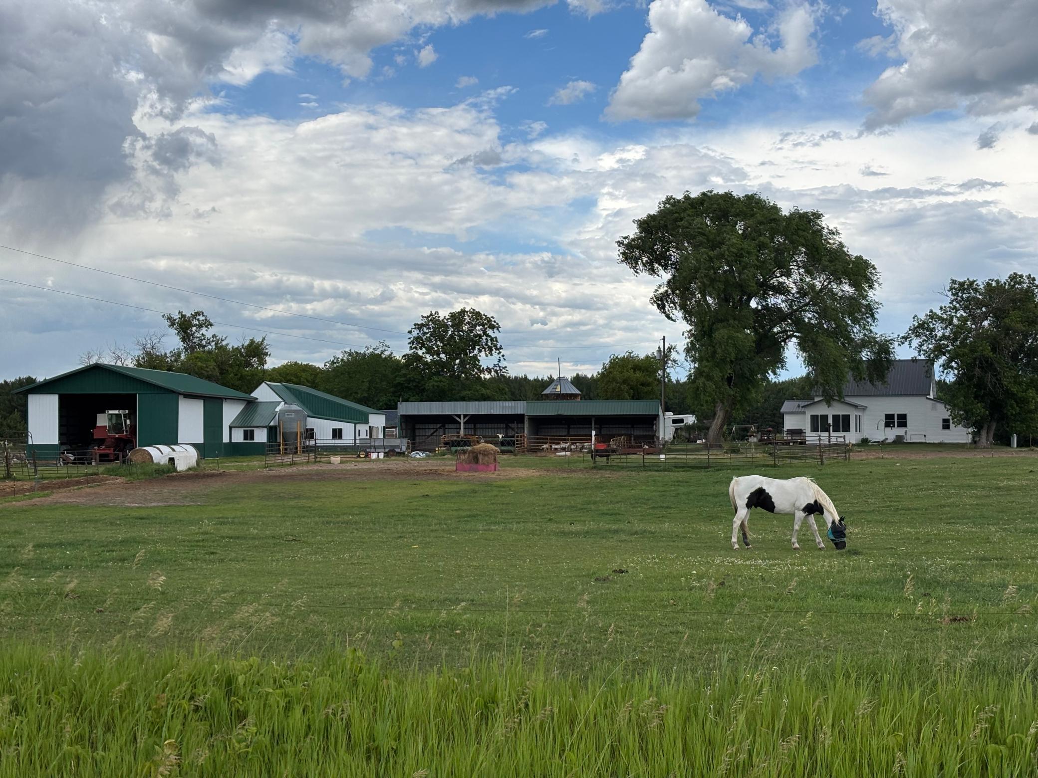 main property photo 27