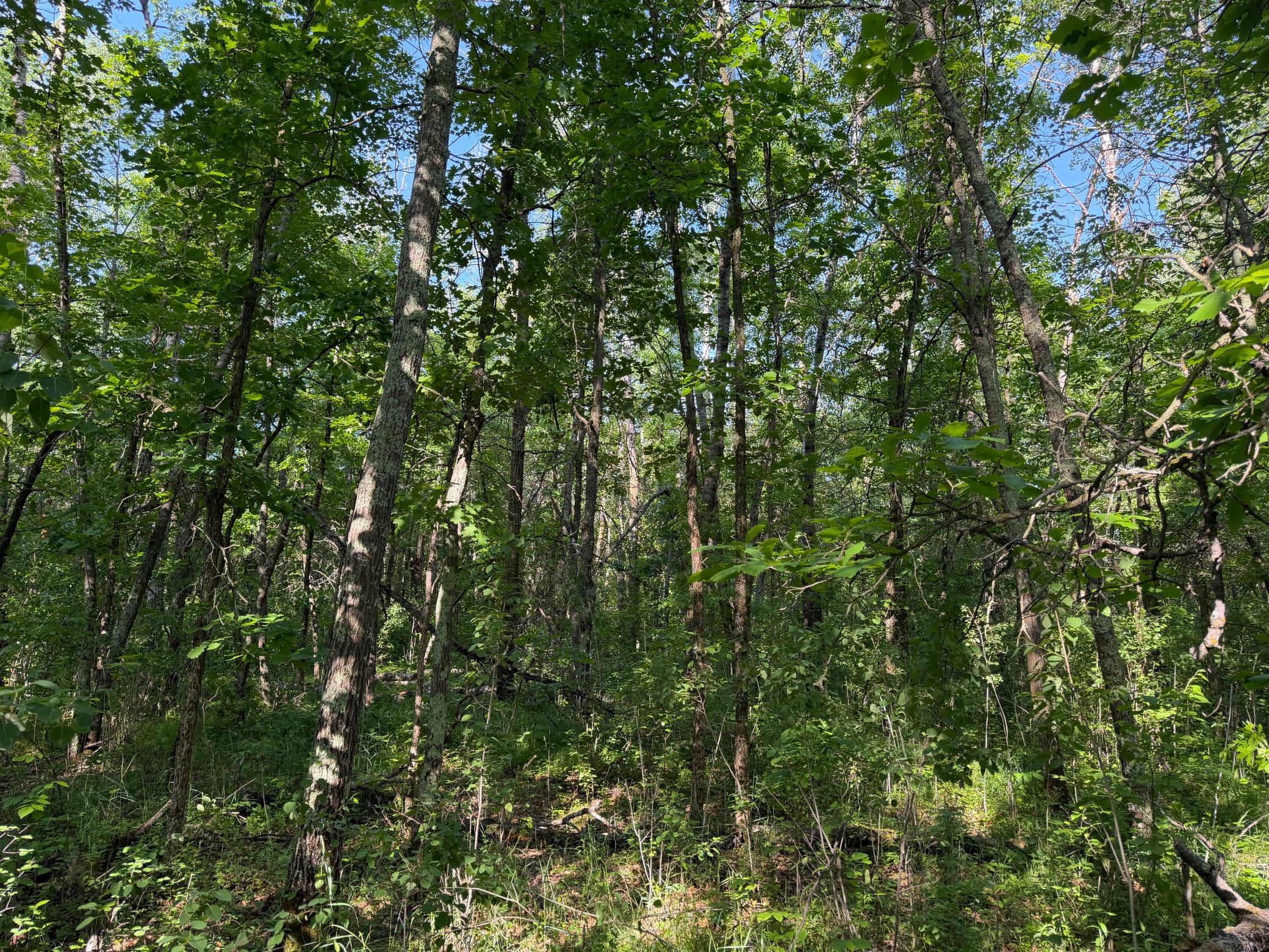 main property photo 17