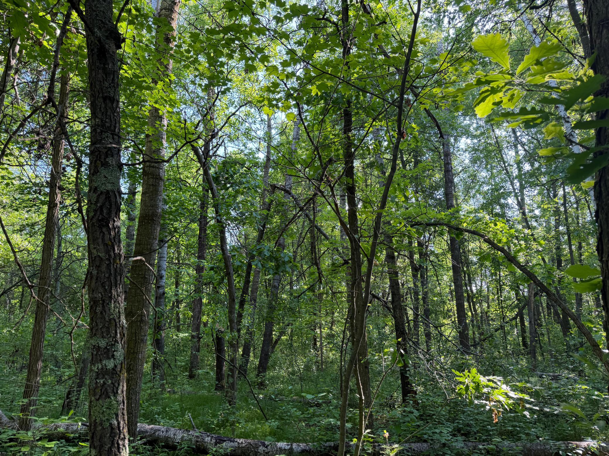 main property photo 18