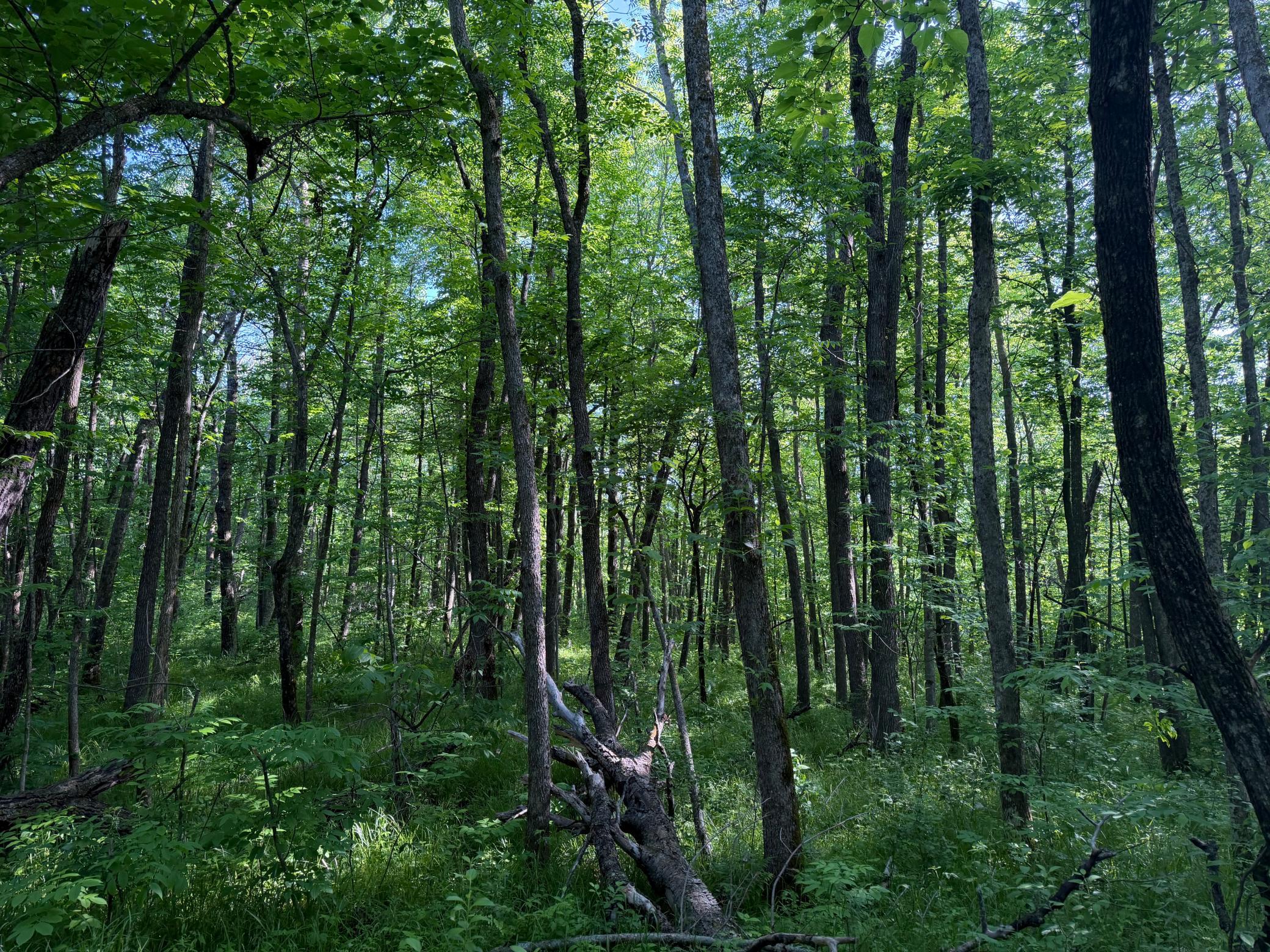 main property photo 27