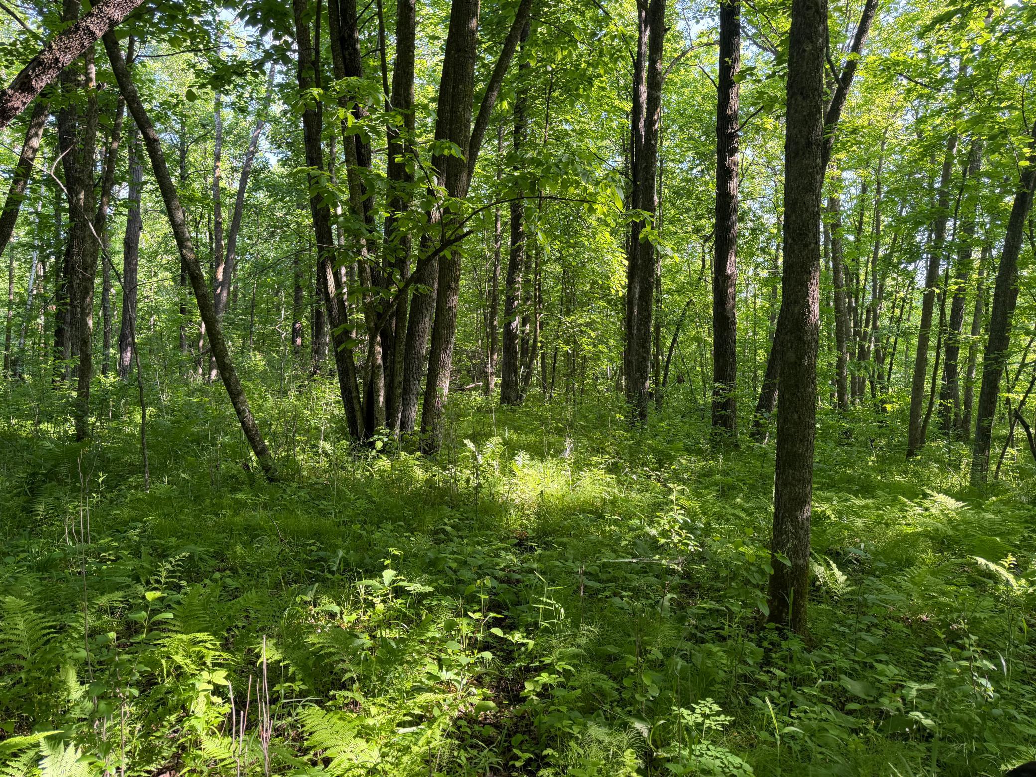 main property photo 28