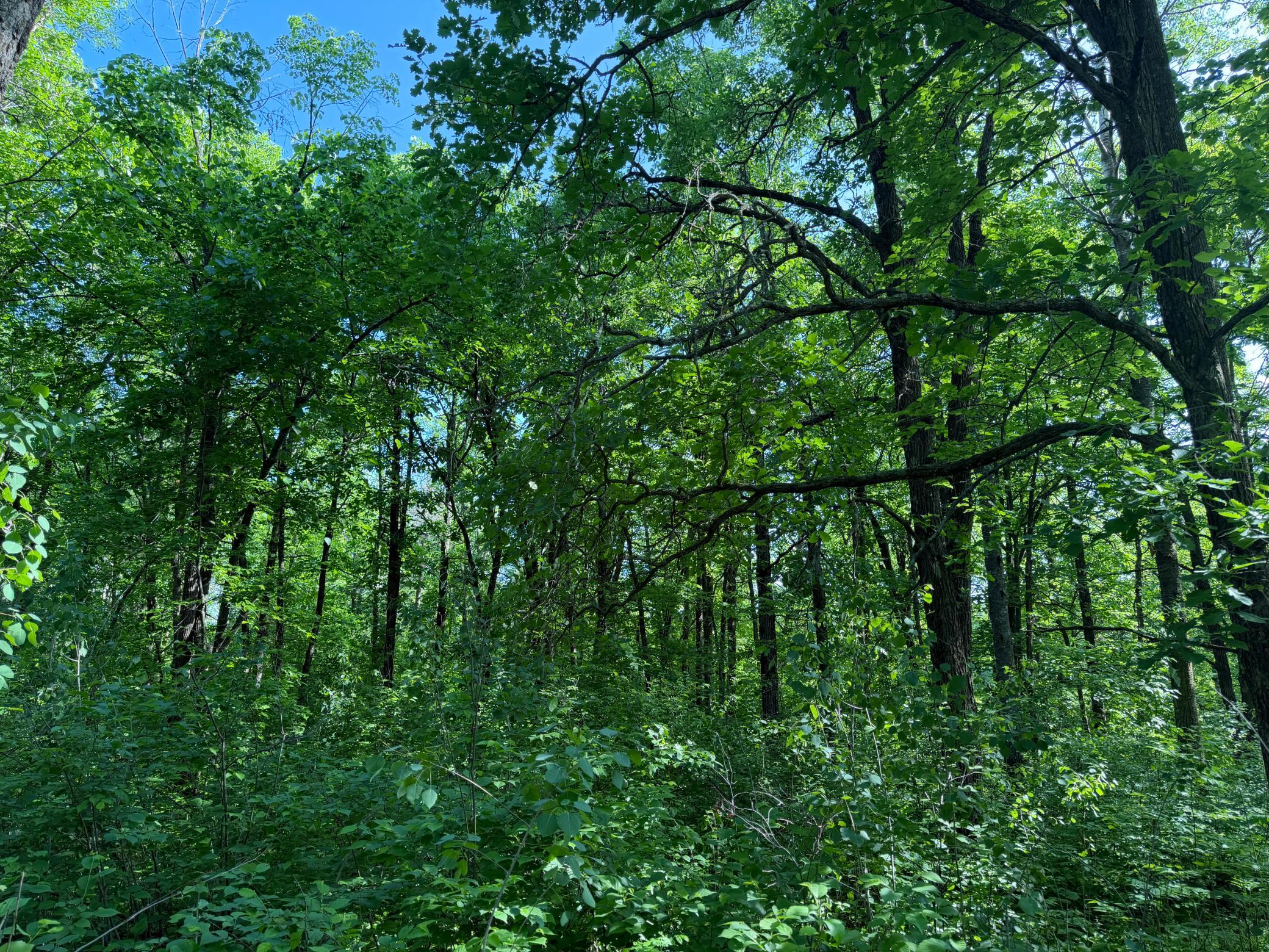 main property photo 34