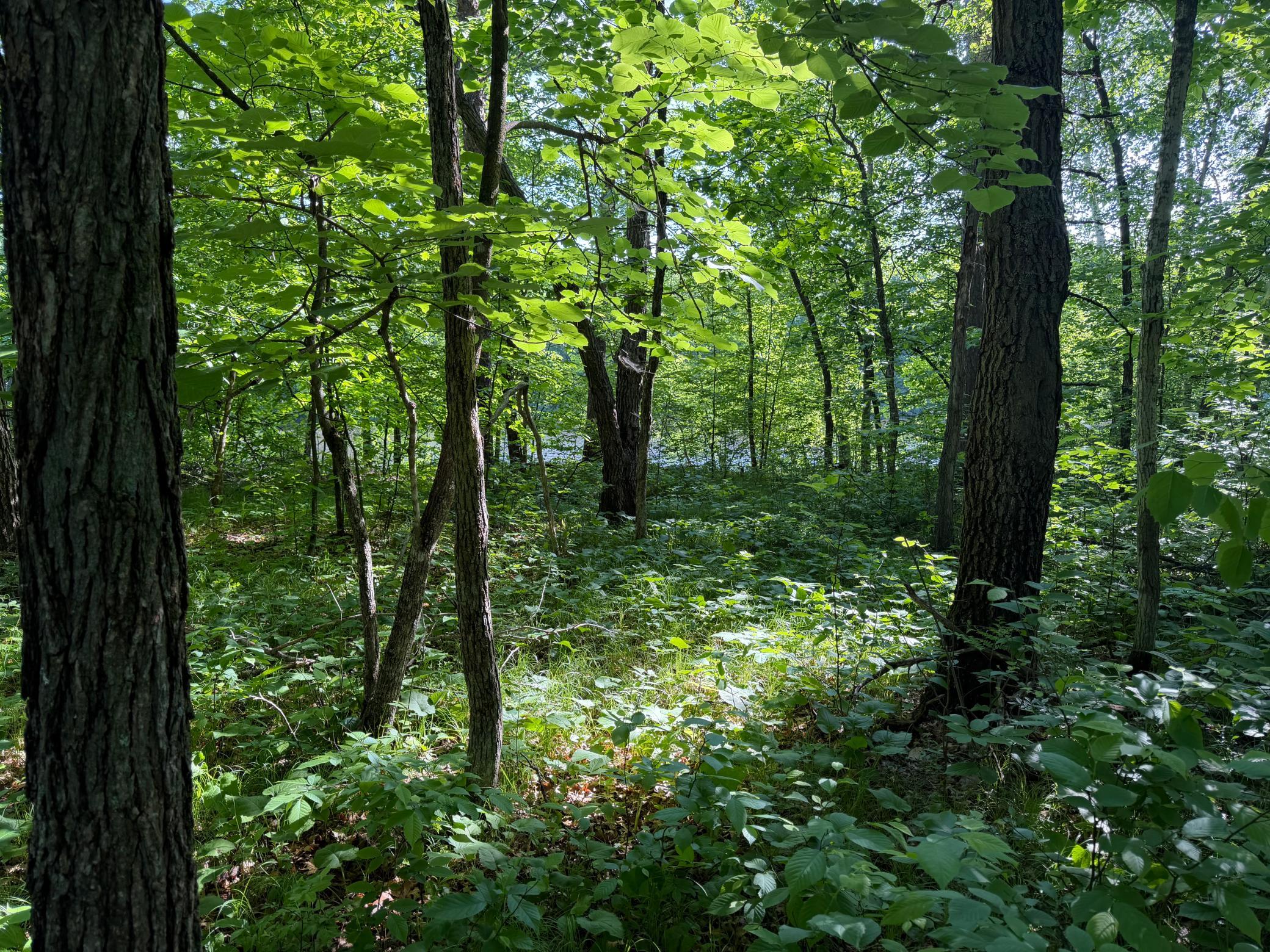 main property photo 36
