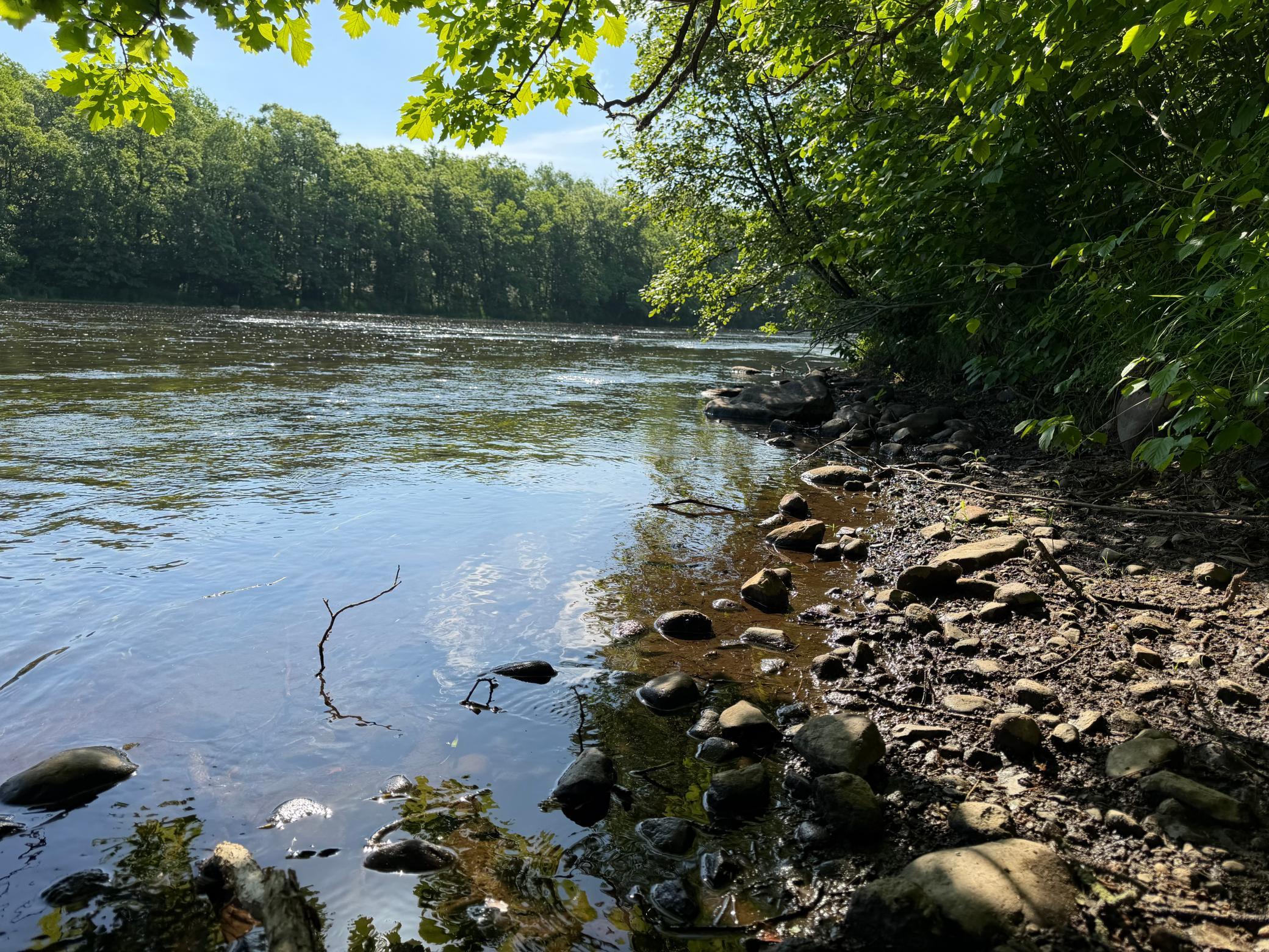 main property photo 50