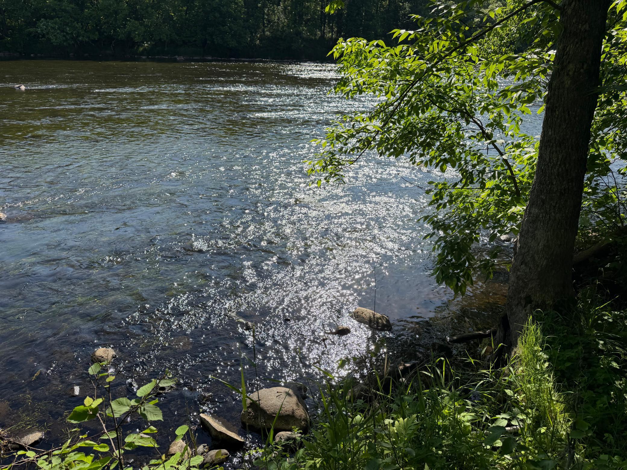main property photo 53