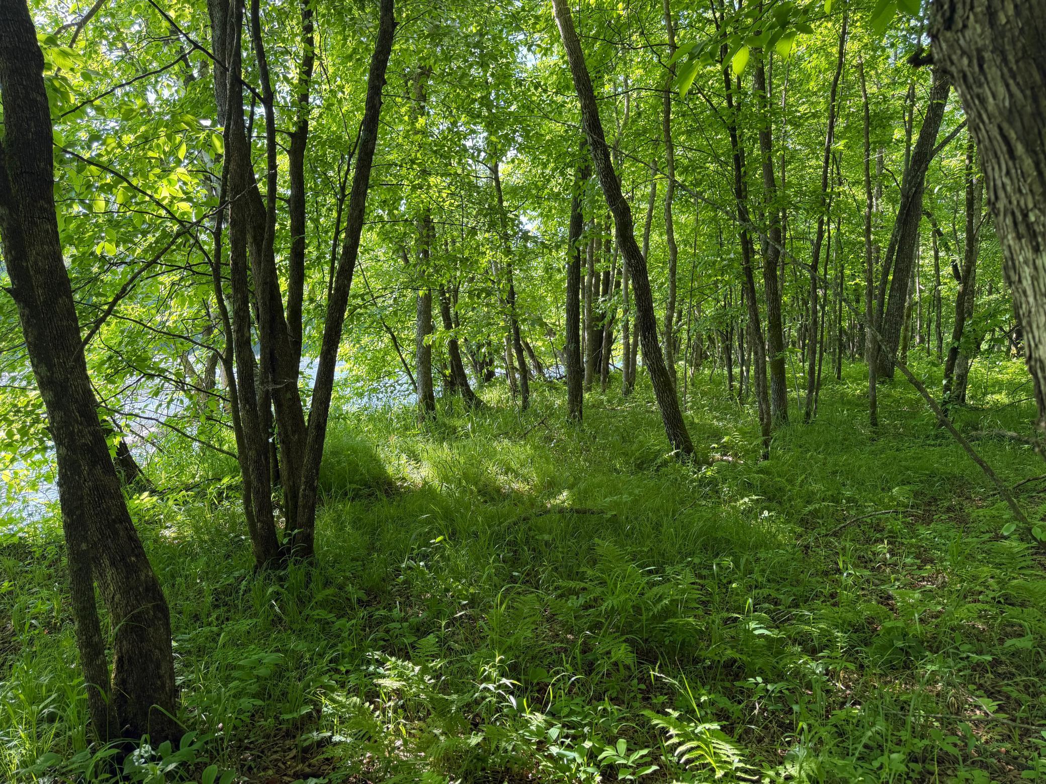main property photo 55