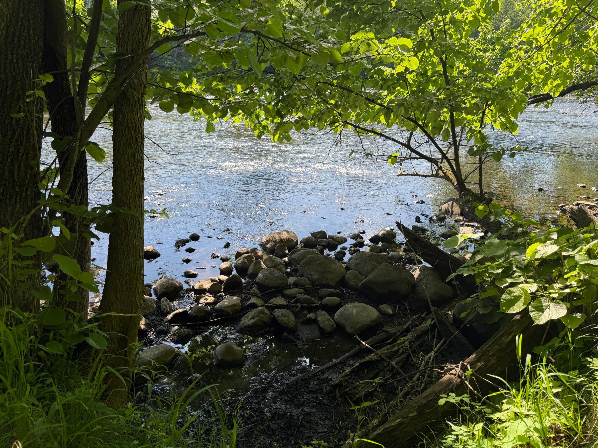 main property photo 56