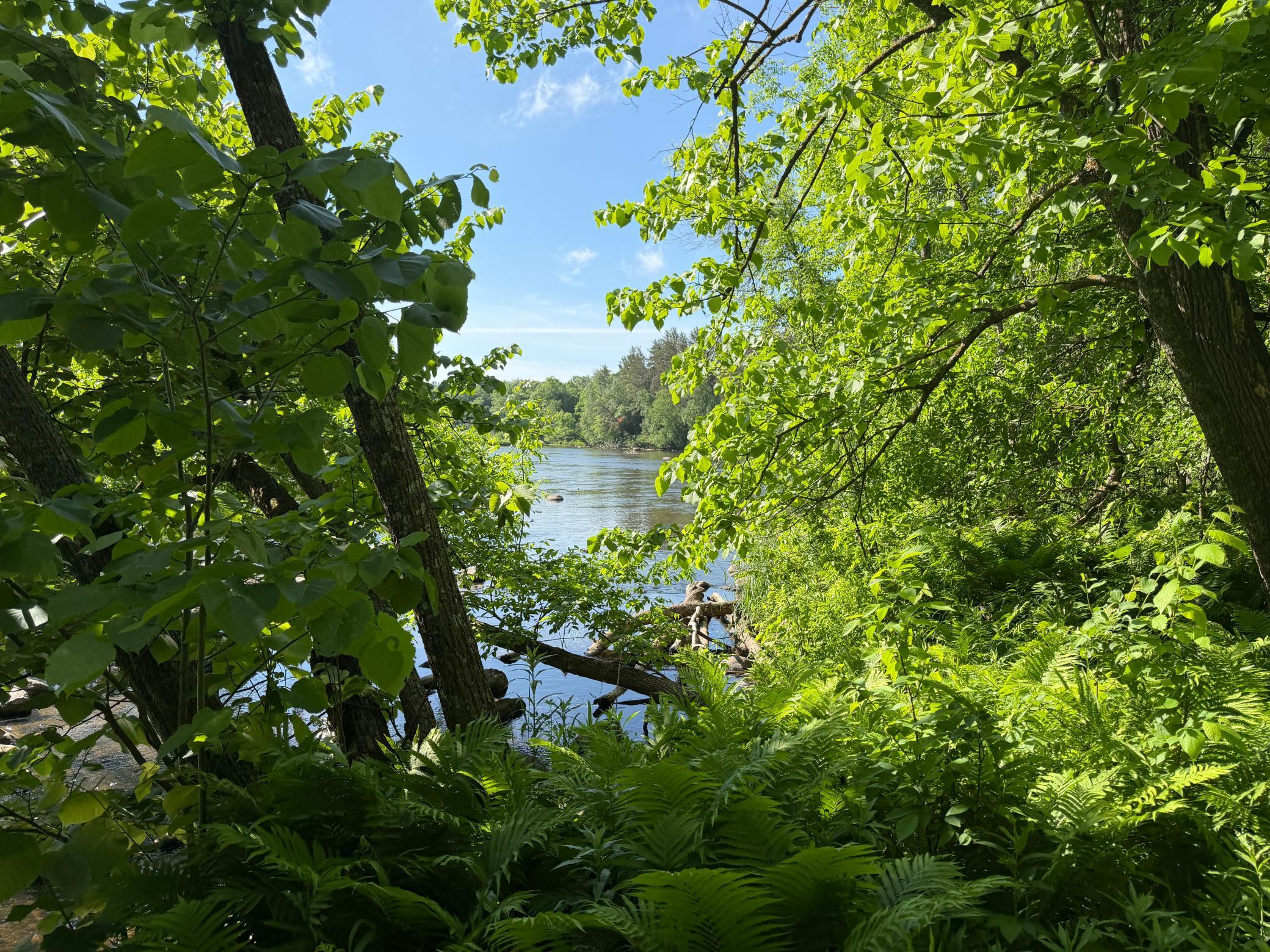 main property photo 58
