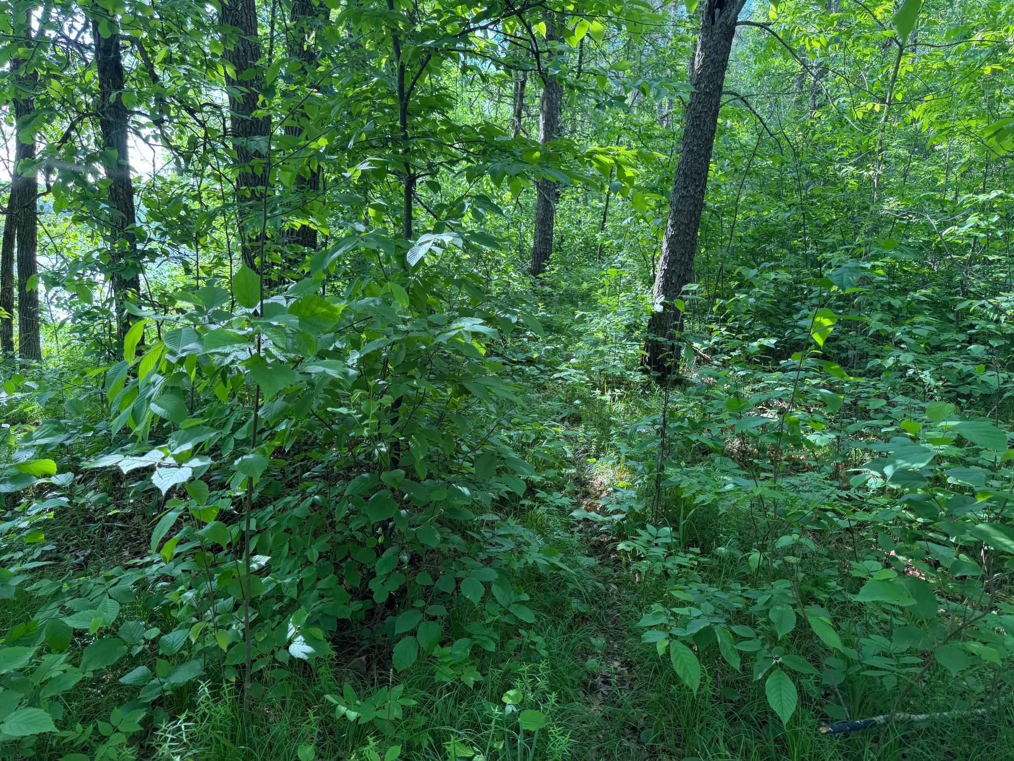main property photo 60