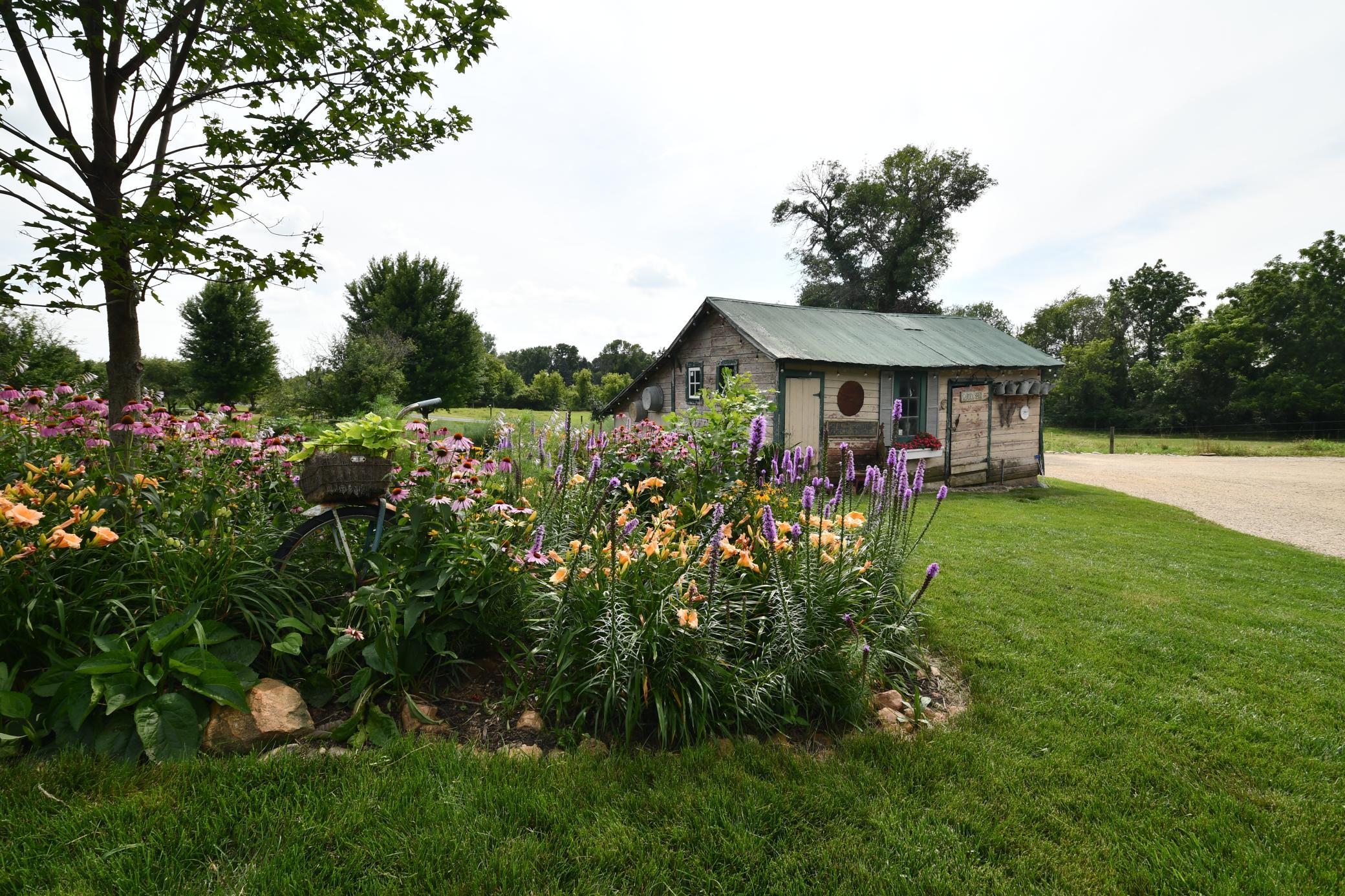 main property photo 56