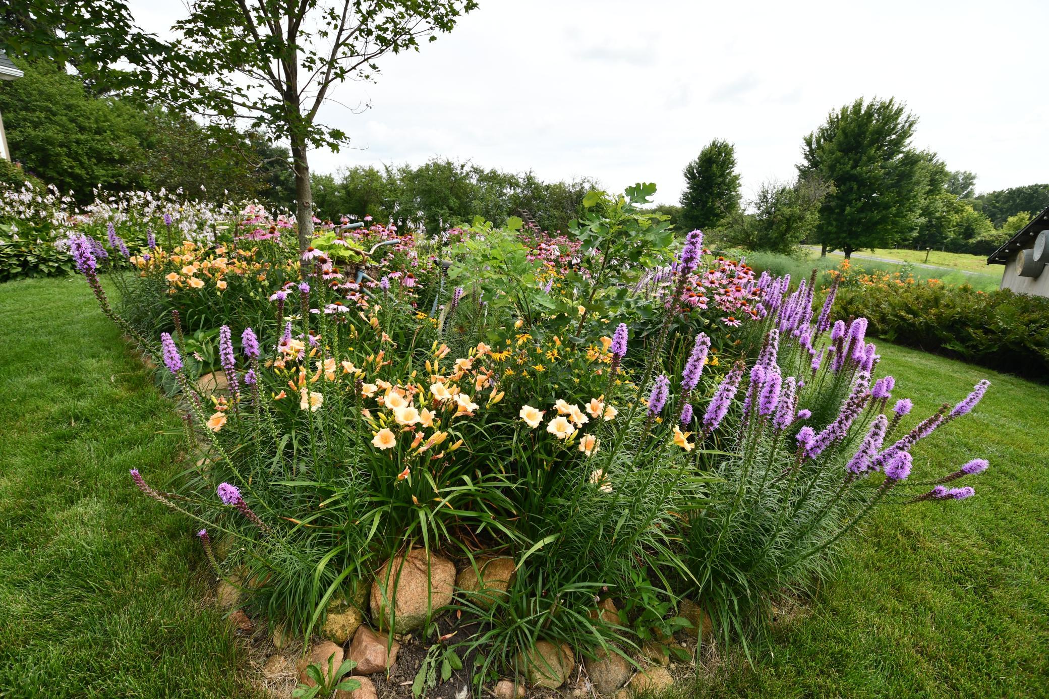 main property photo 57