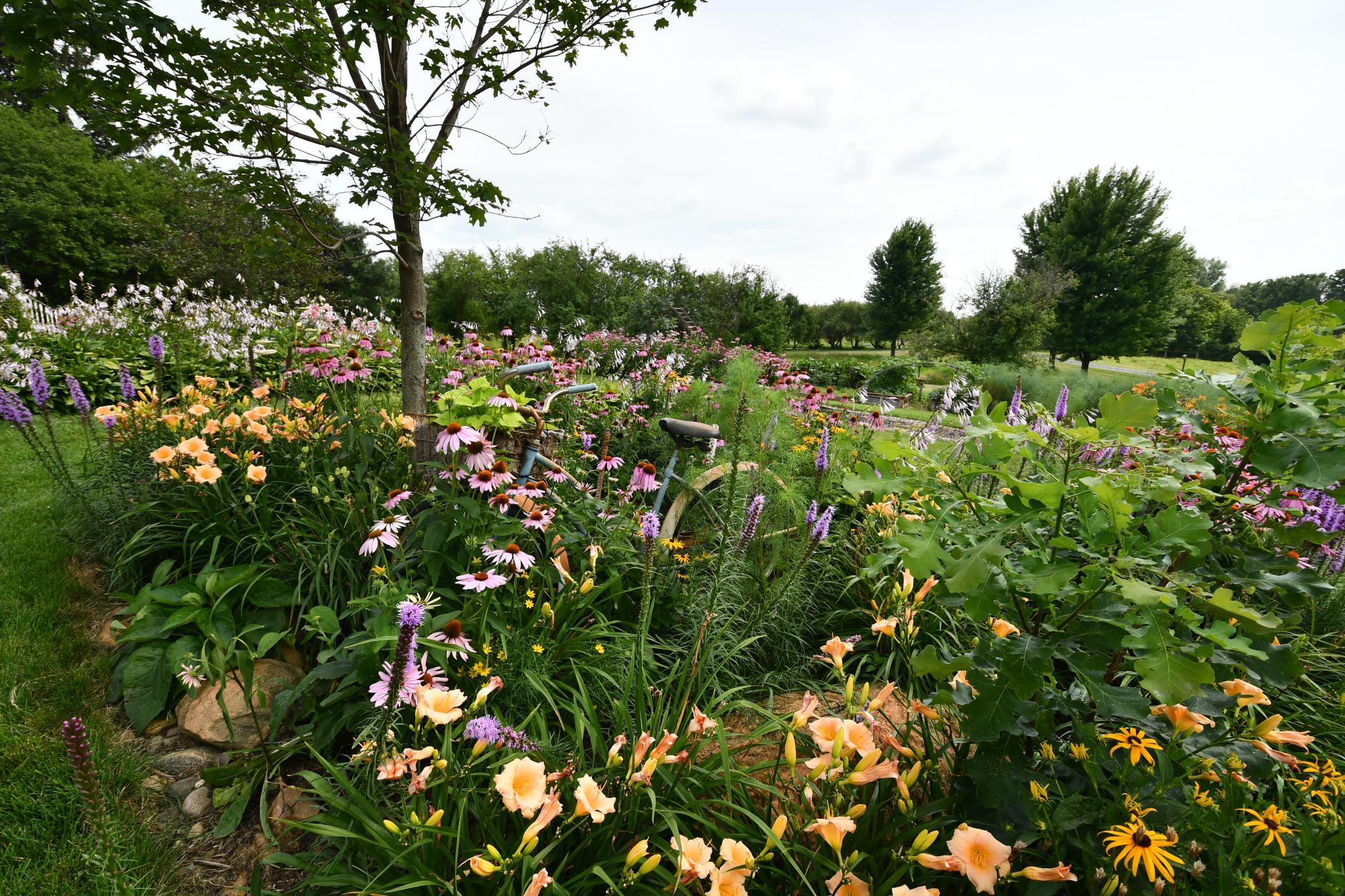 main property photo 58
