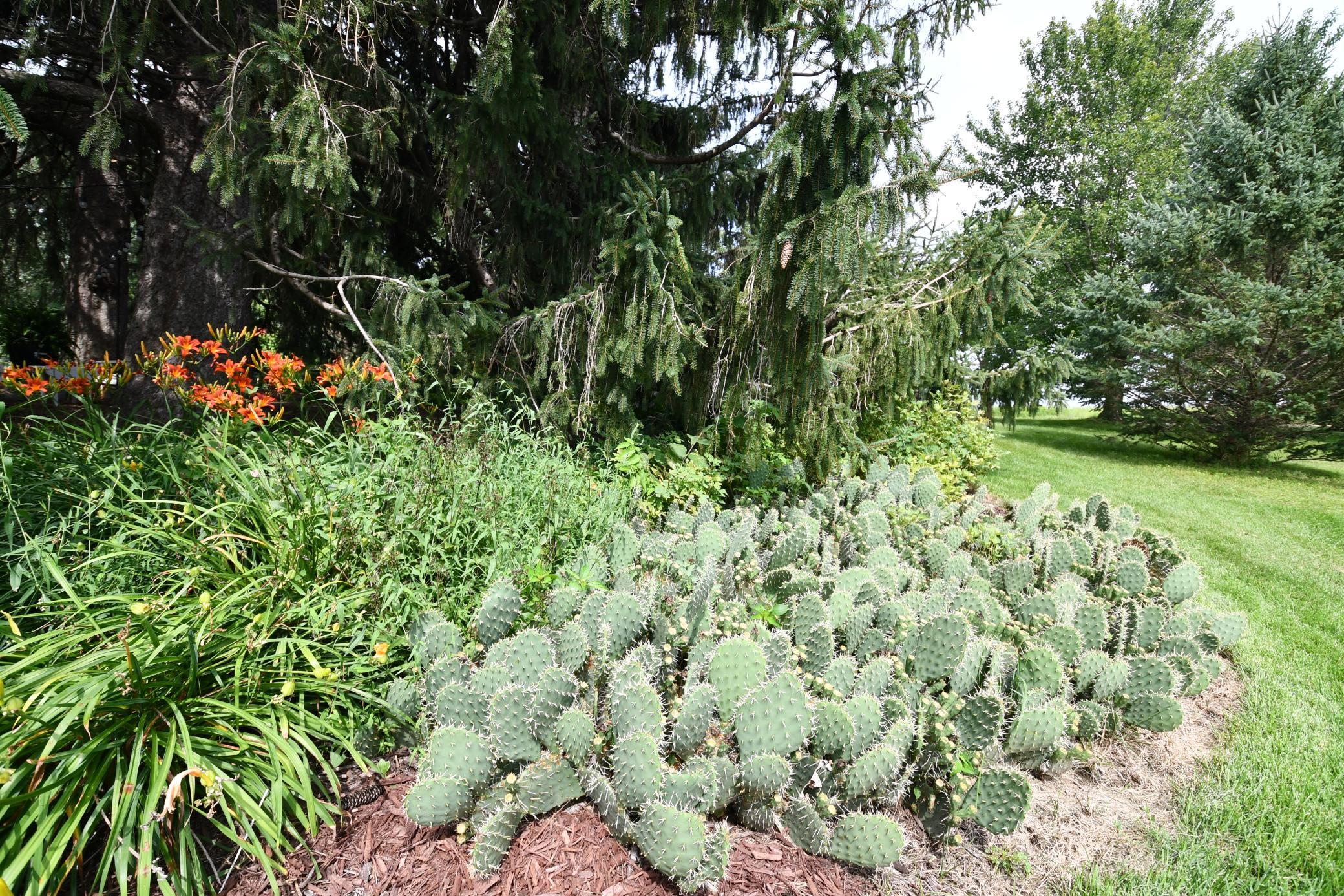 main property photo 71