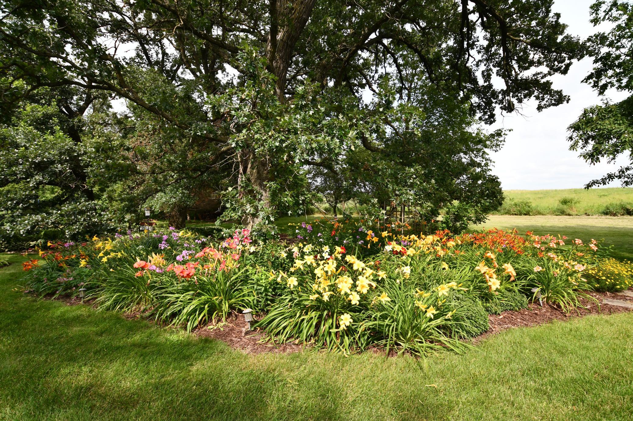 main property photo 73