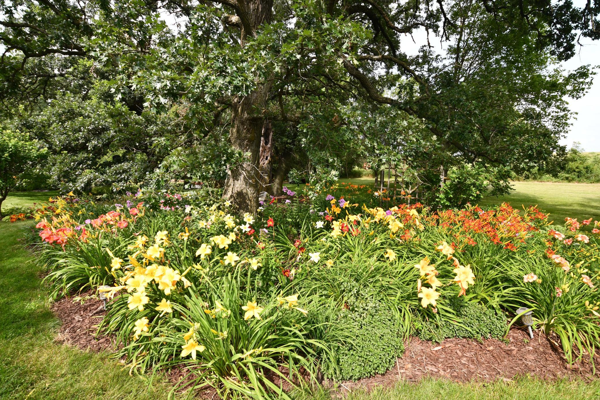 main property photo 74