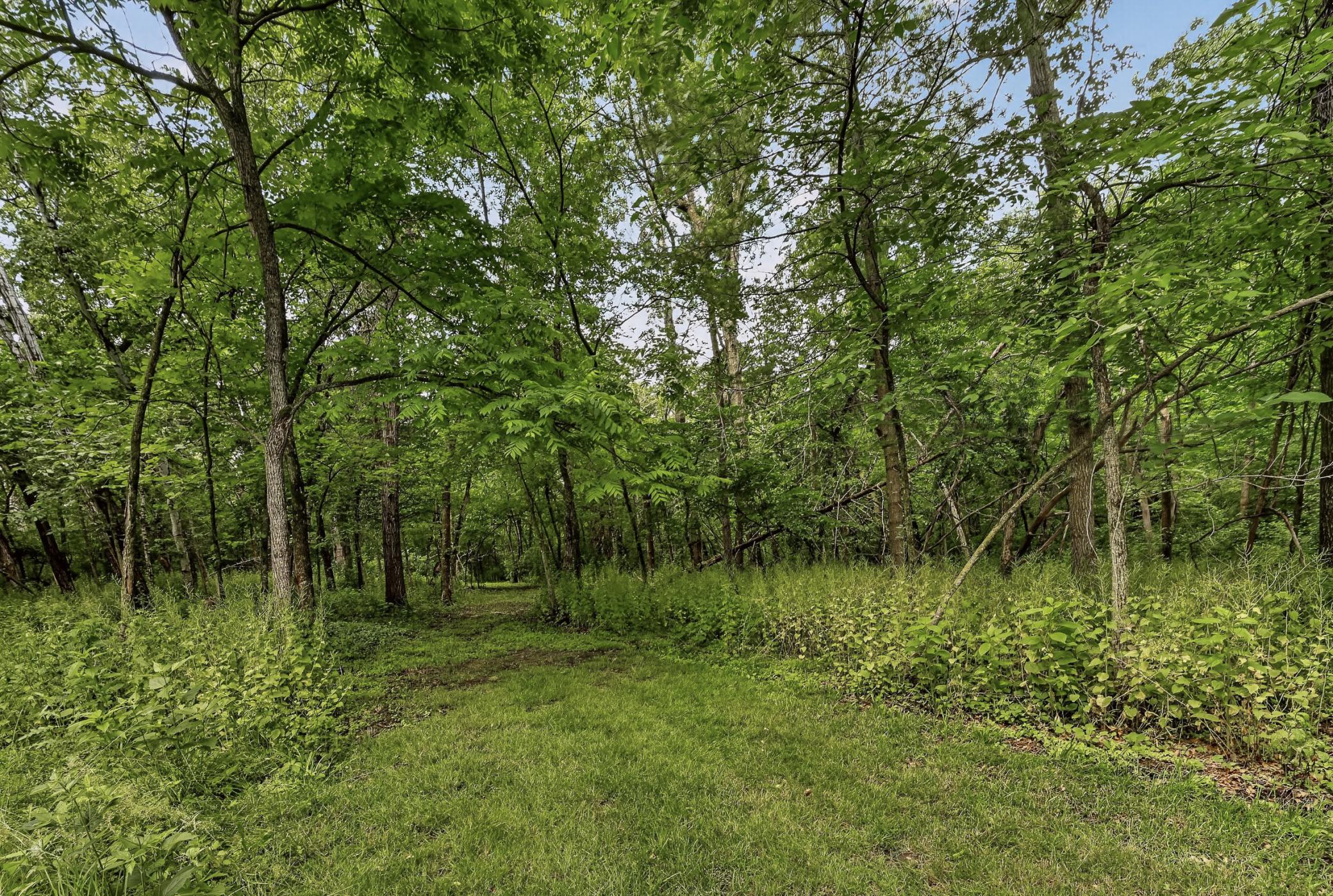 main property photo 42