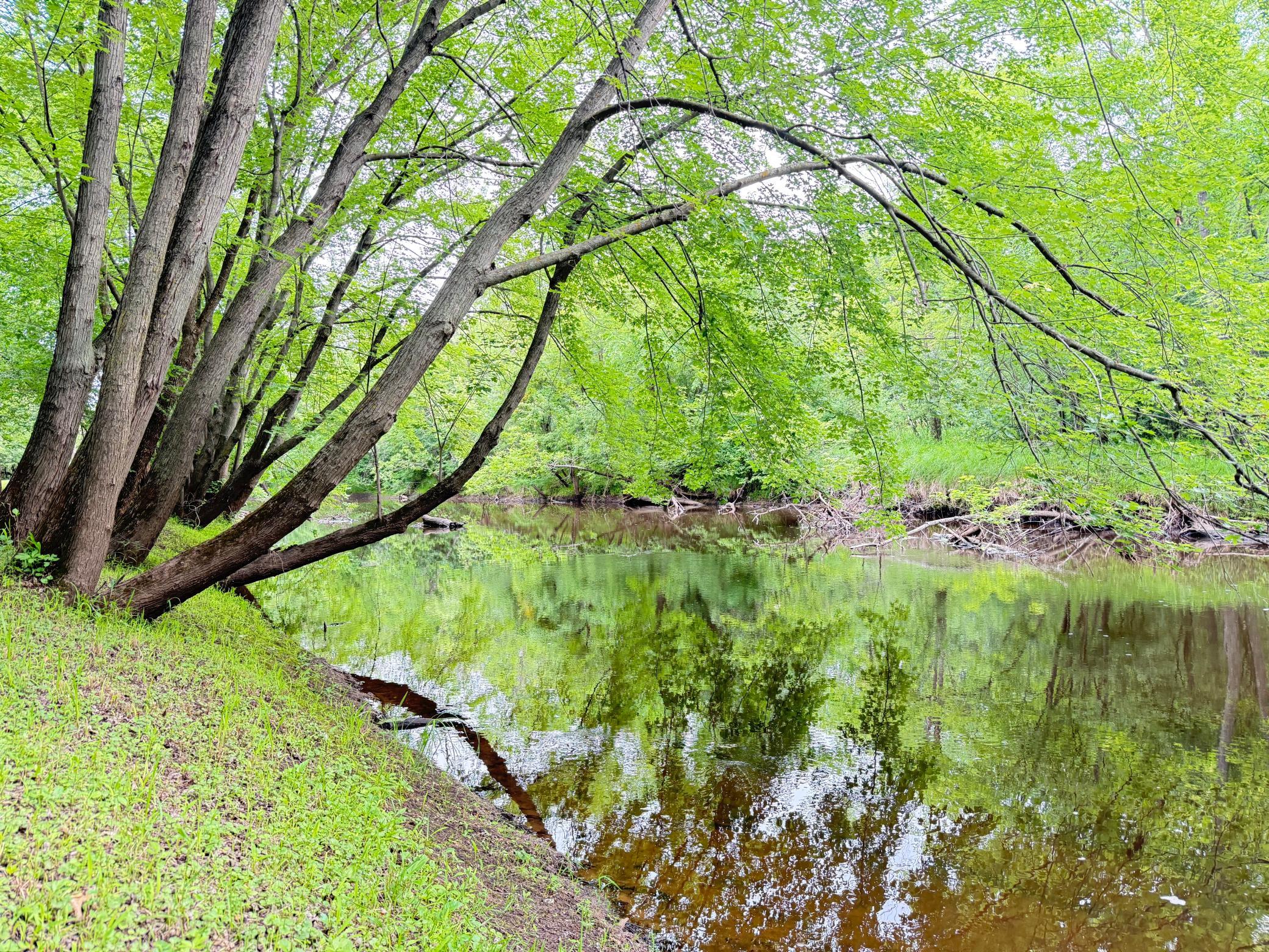 main property photo 51