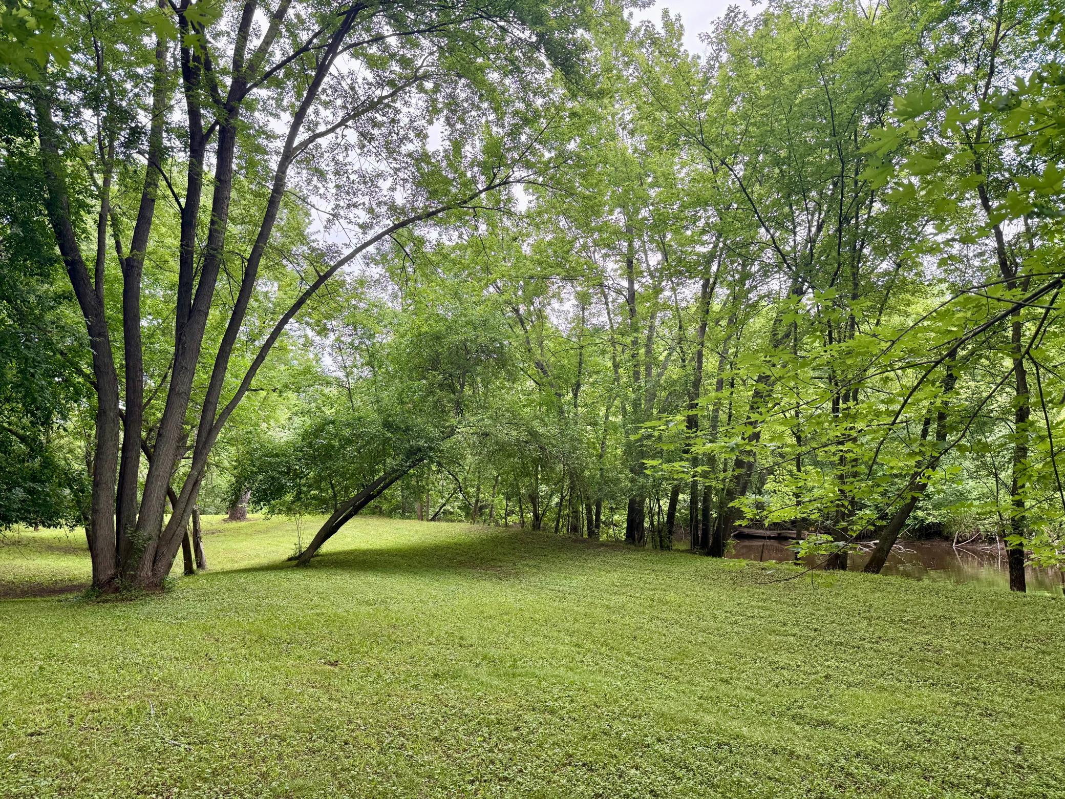 main property photo 52