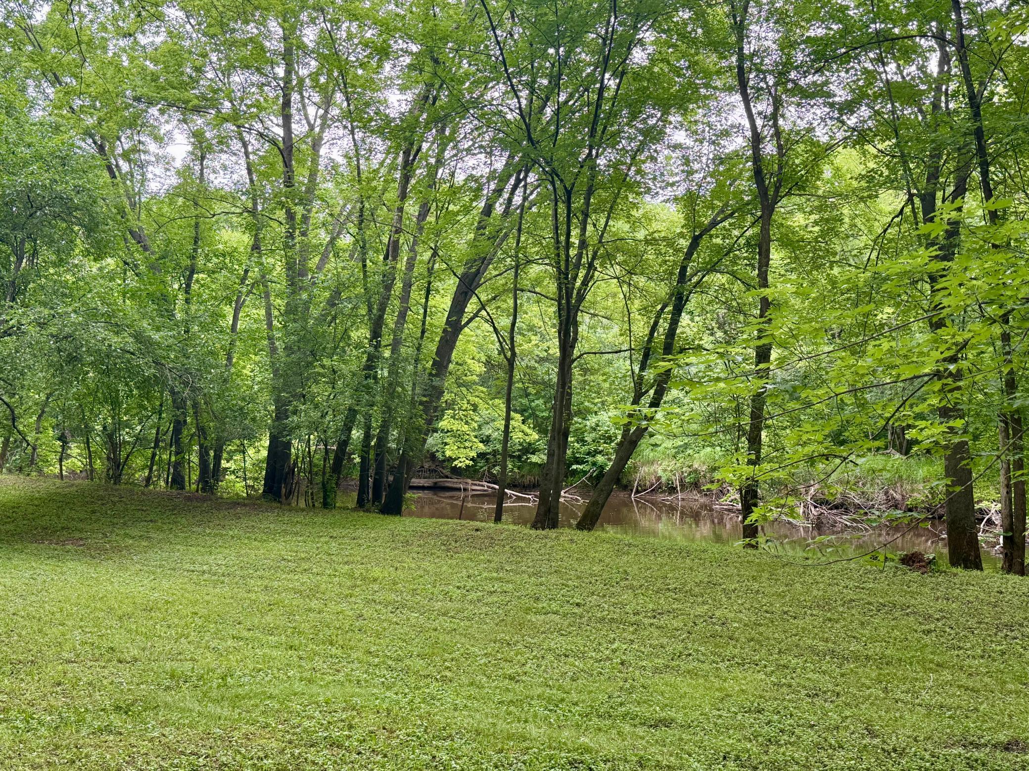 main property photo 53