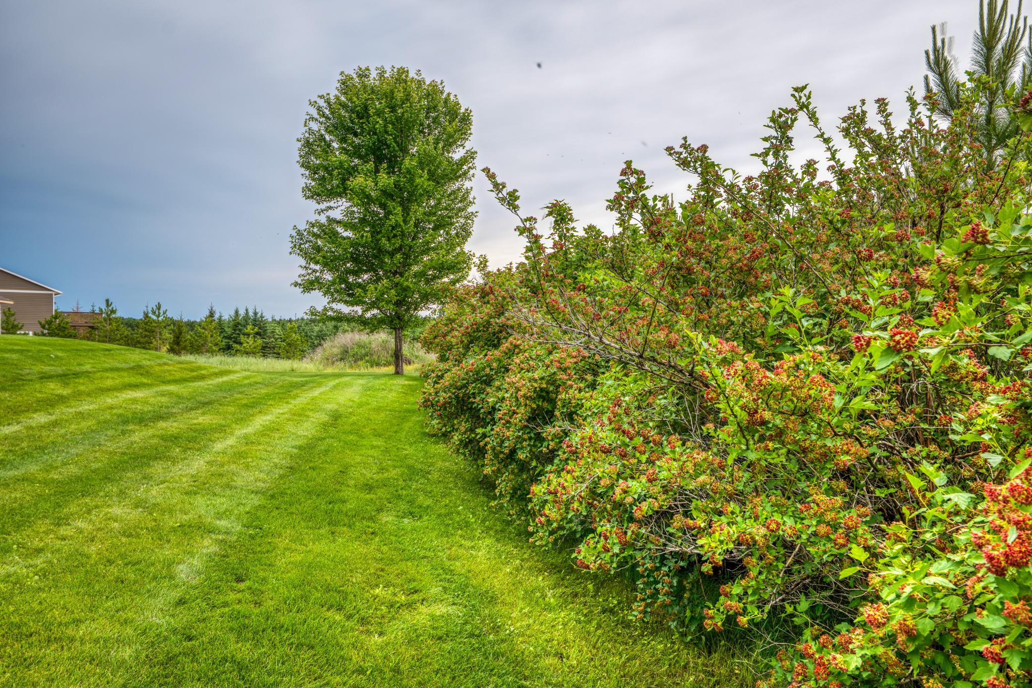 main property photo 80