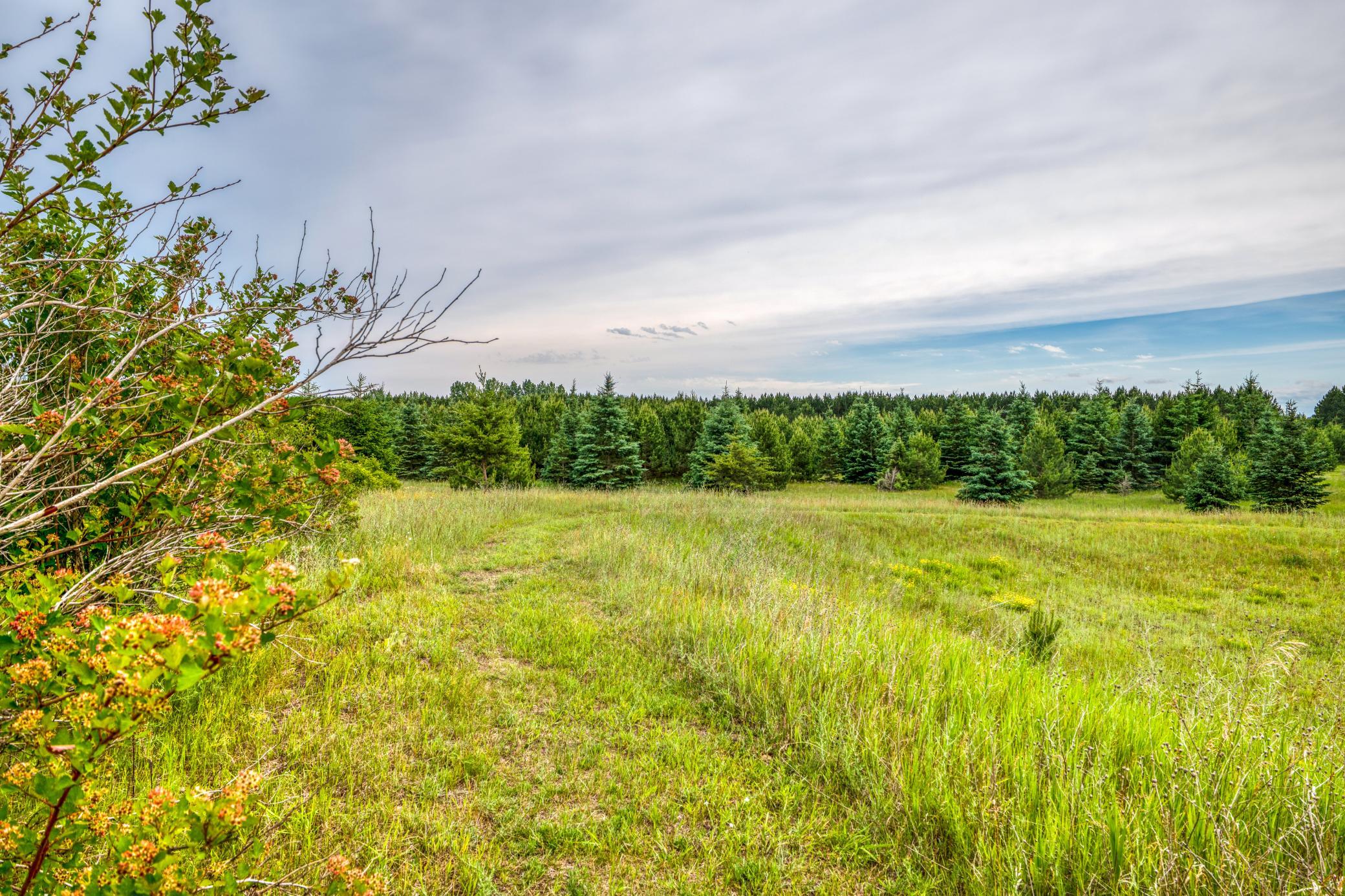 main property photo 81