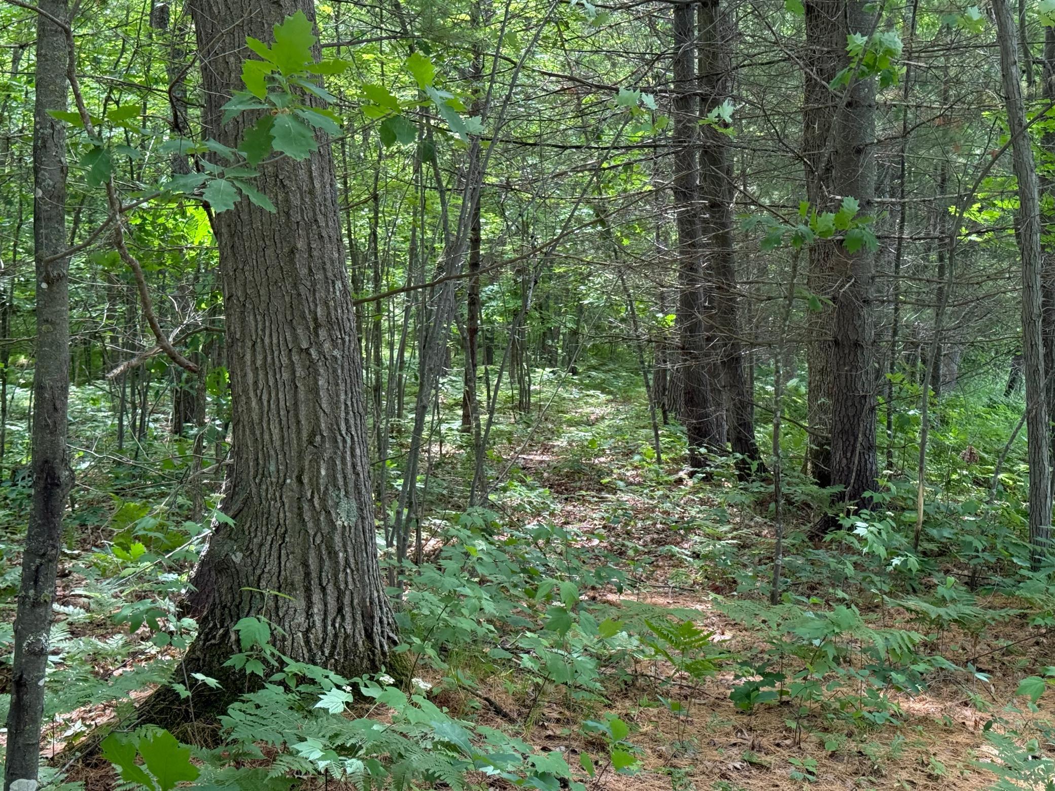 main property photo 57